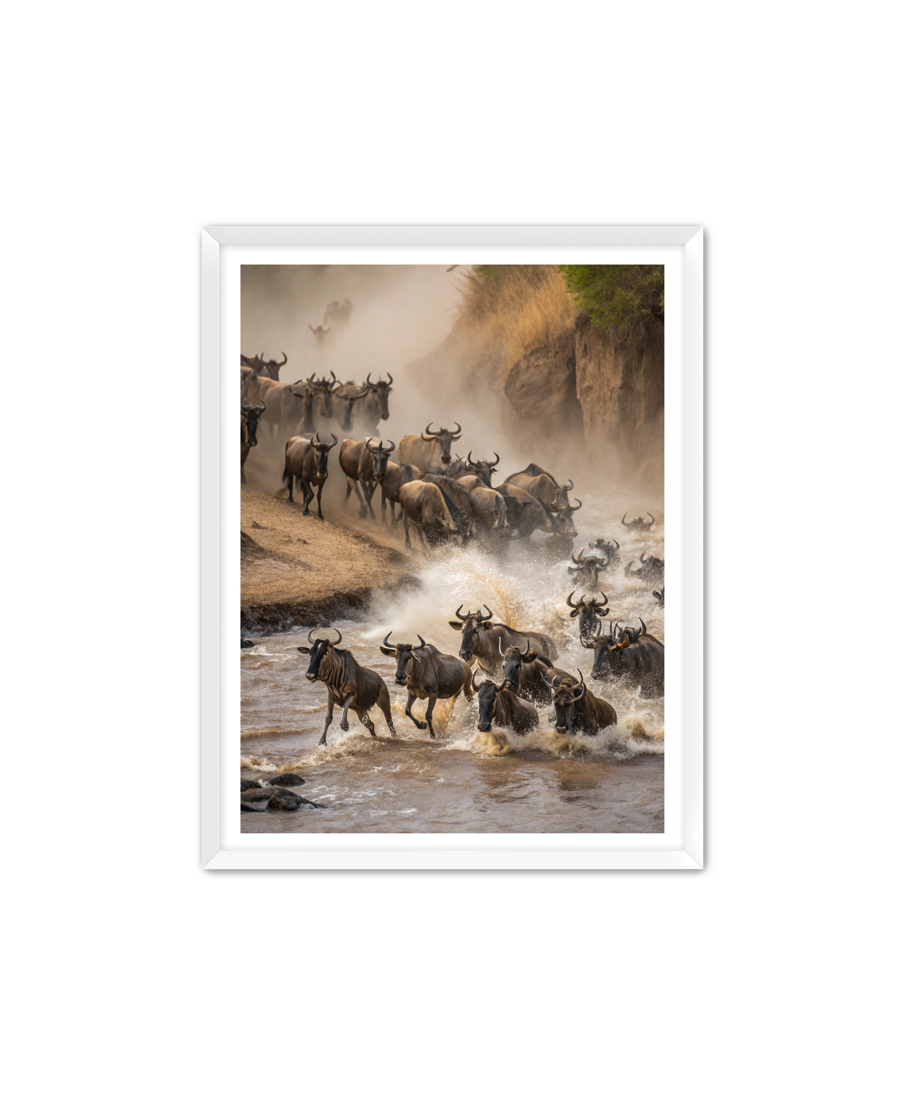 Apricus Prints 'Stampede Crossing' Apricus Art Collection