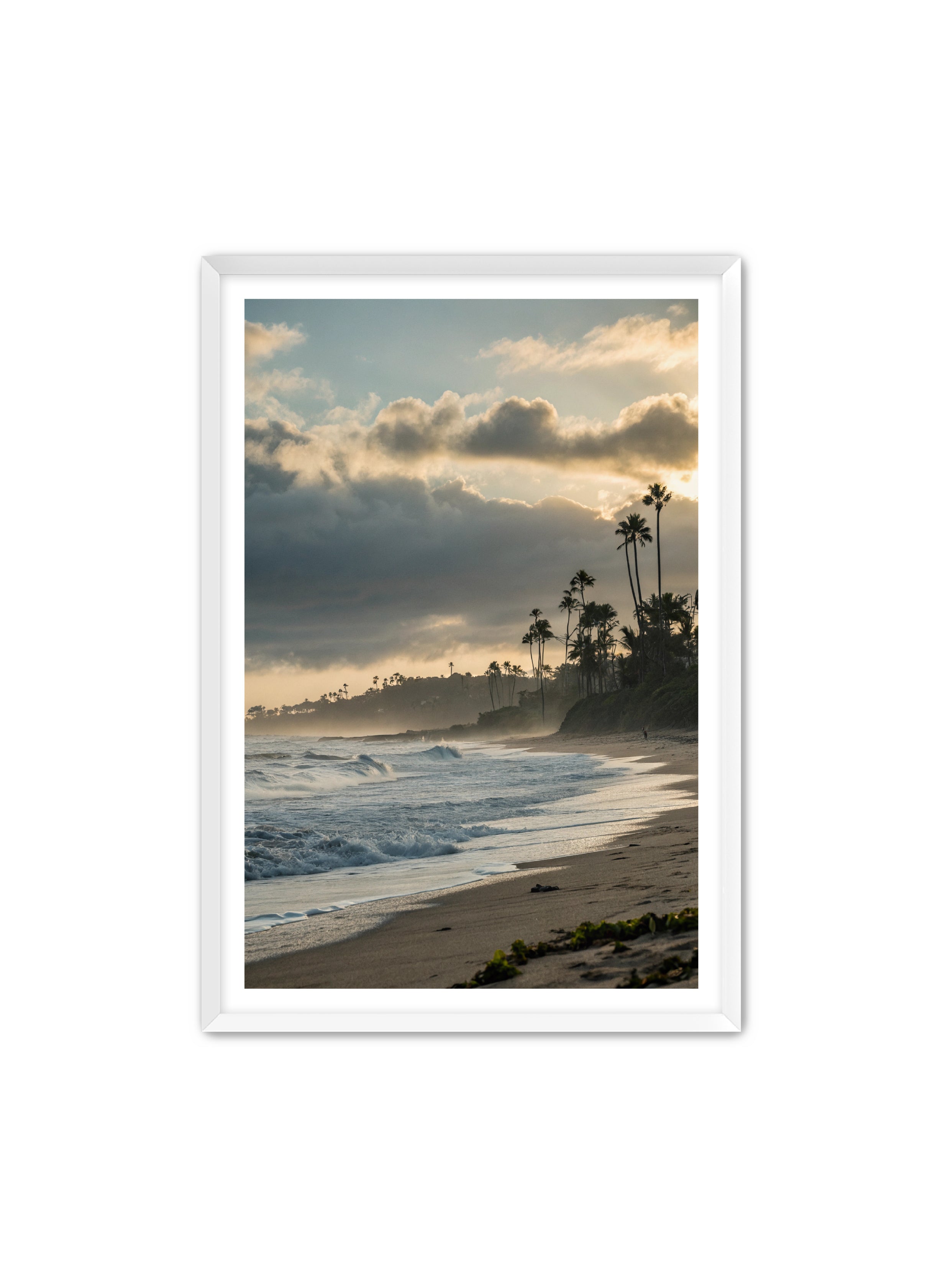 Apricus Prints Beaches 'Coastal Echoes' Apricus Art Collection