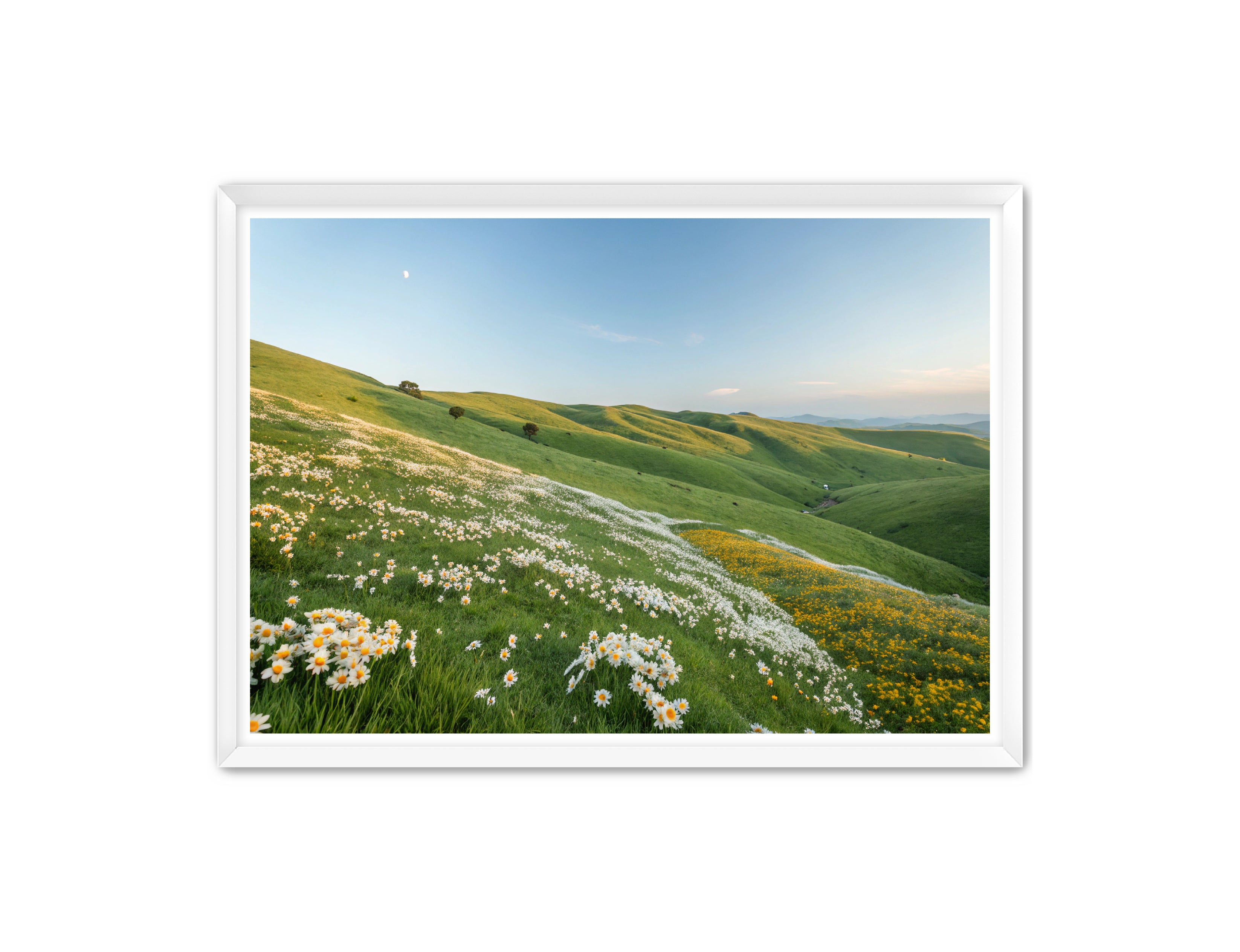 Apricus Prints 'Where the Wild Grows' Apricus Art Collection