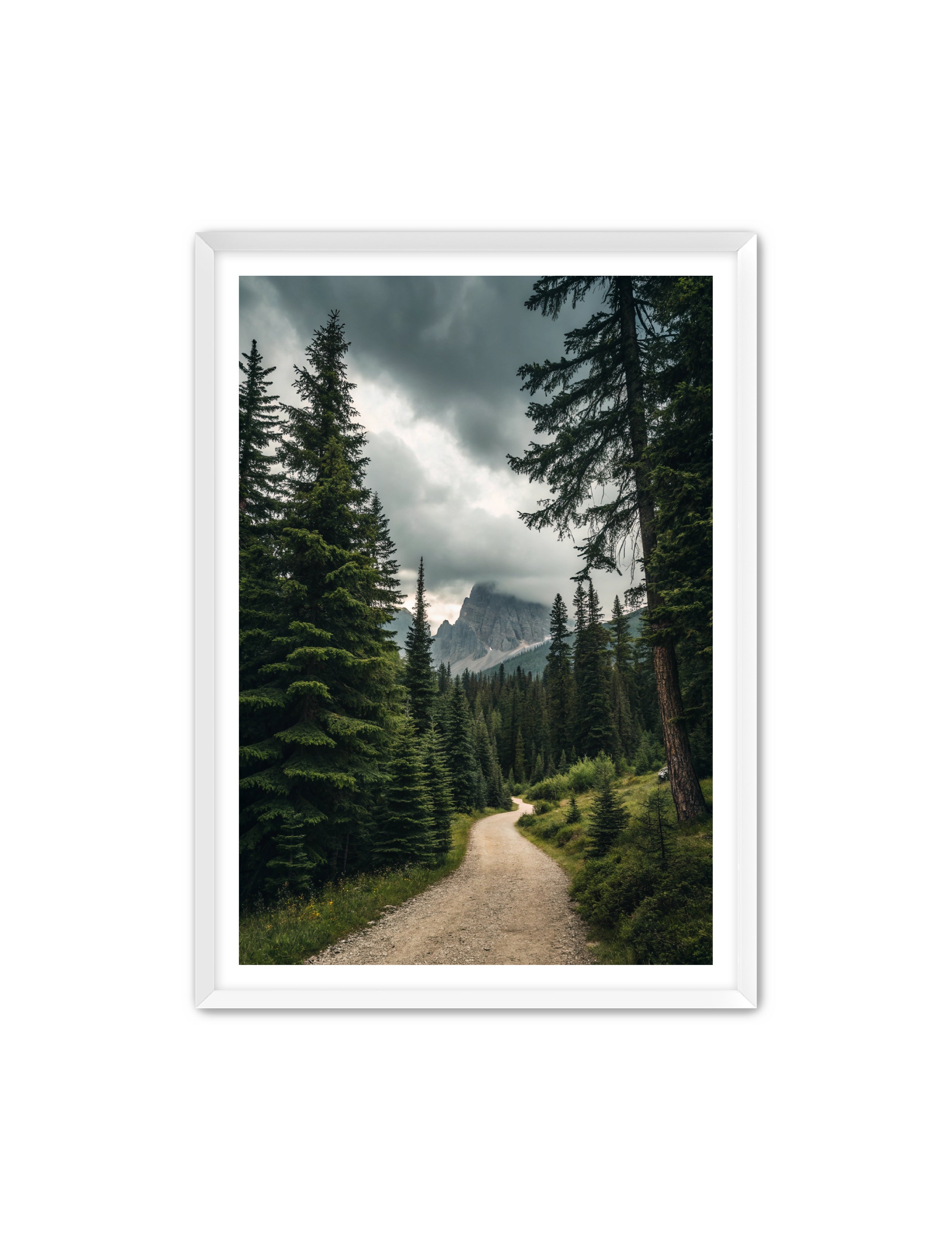 Apricus Prints 'Path to the Peaks' Apricus Art Collection