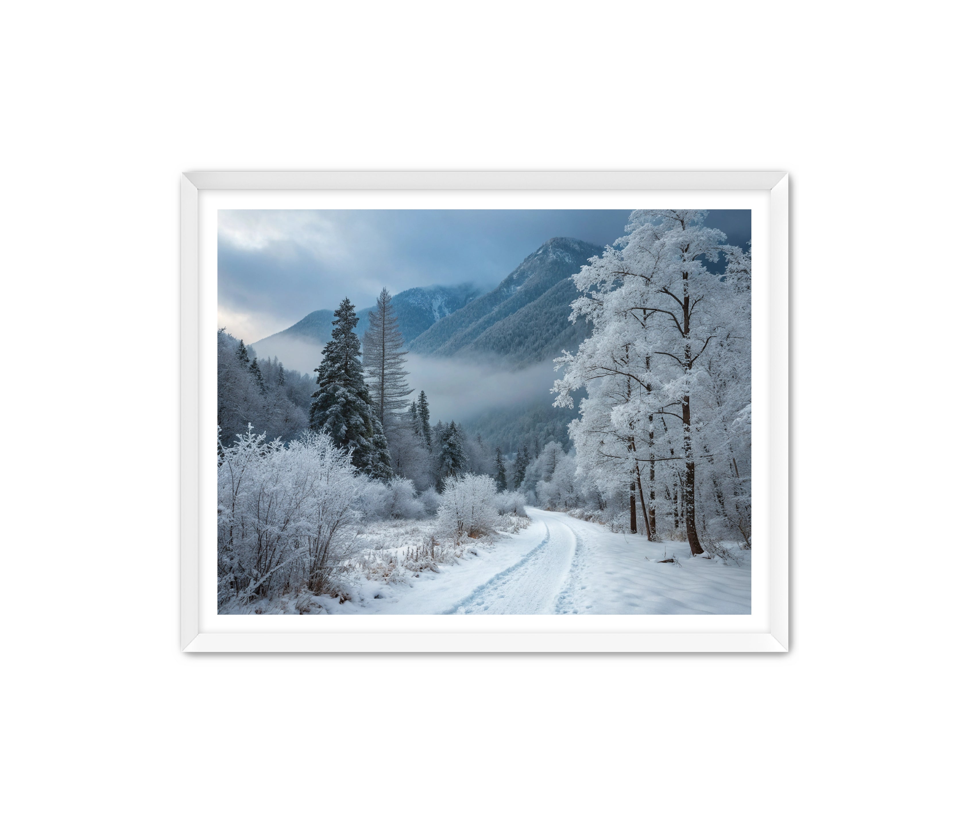 Apricus Prints 'Telluride Way' Apricus Art Collection