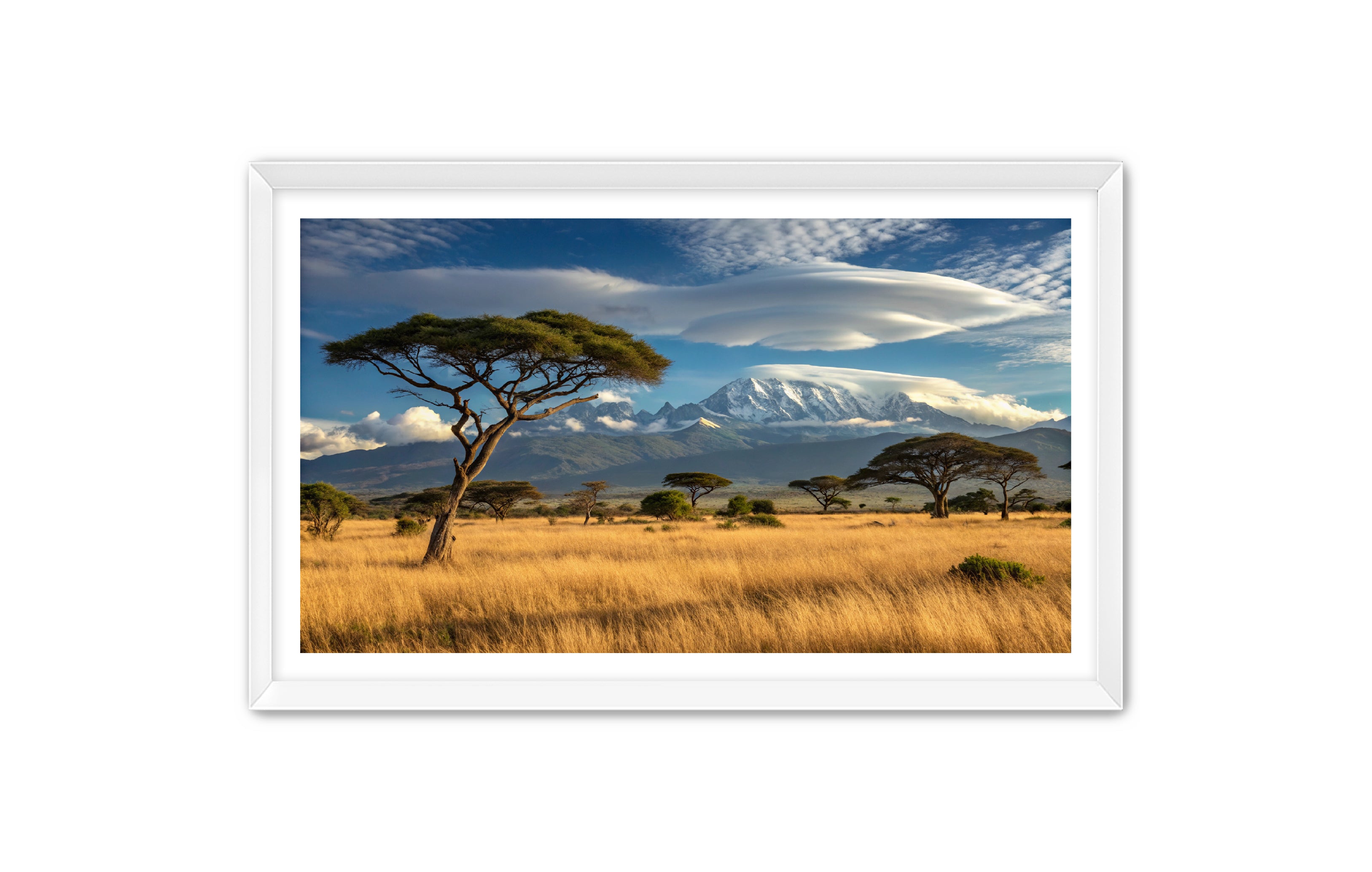 Apricus Prints 'Safari Layers' Apricus Art Collection