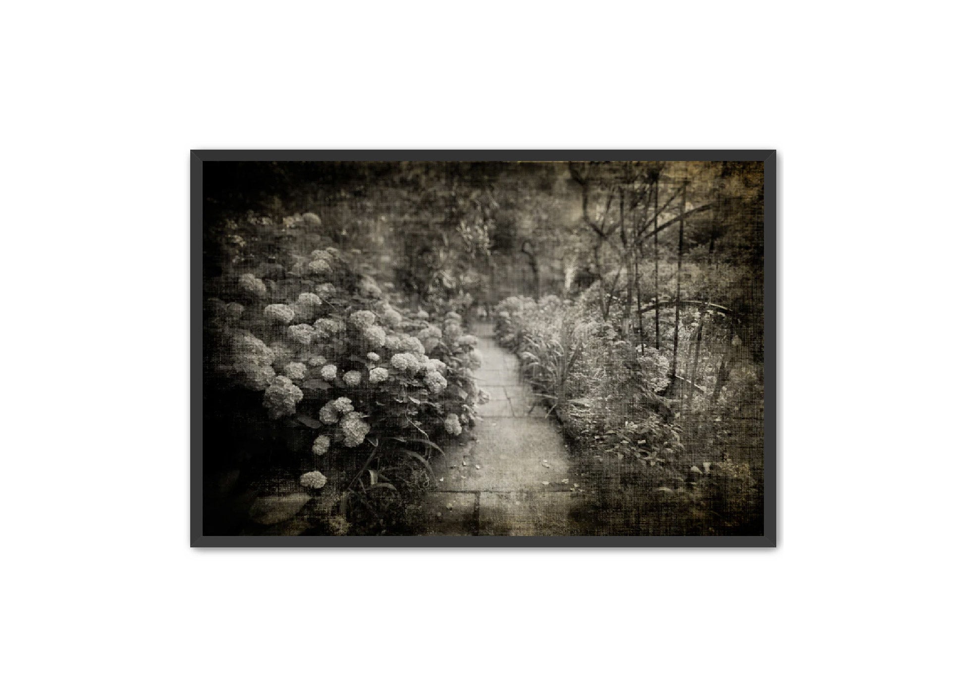 PhotoArt Prints 'PARK PATH 2' Danielle Neumann Kelly