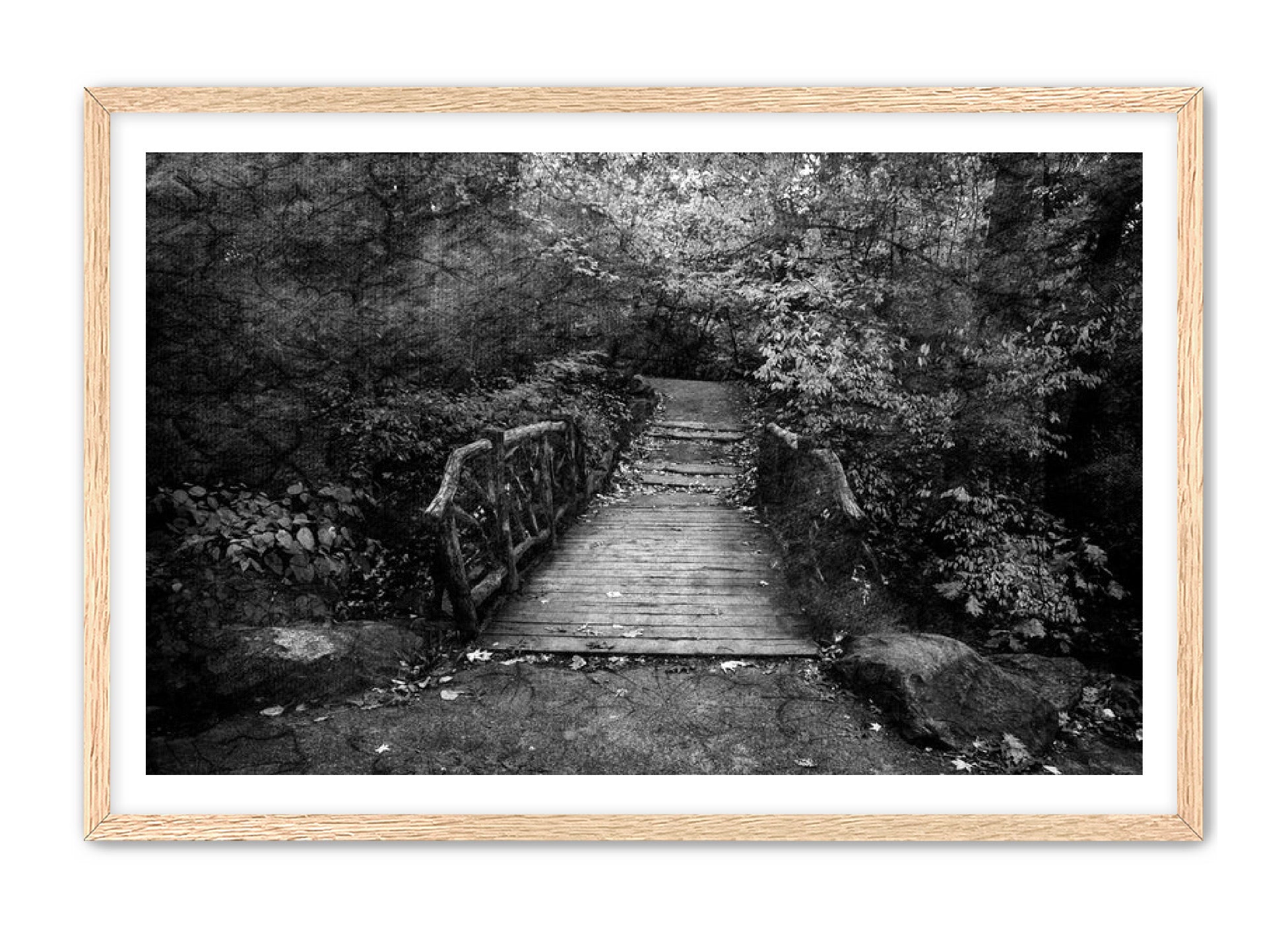 PhotoArt Prints 'PARK PATH' Danielle Neumann Kelly