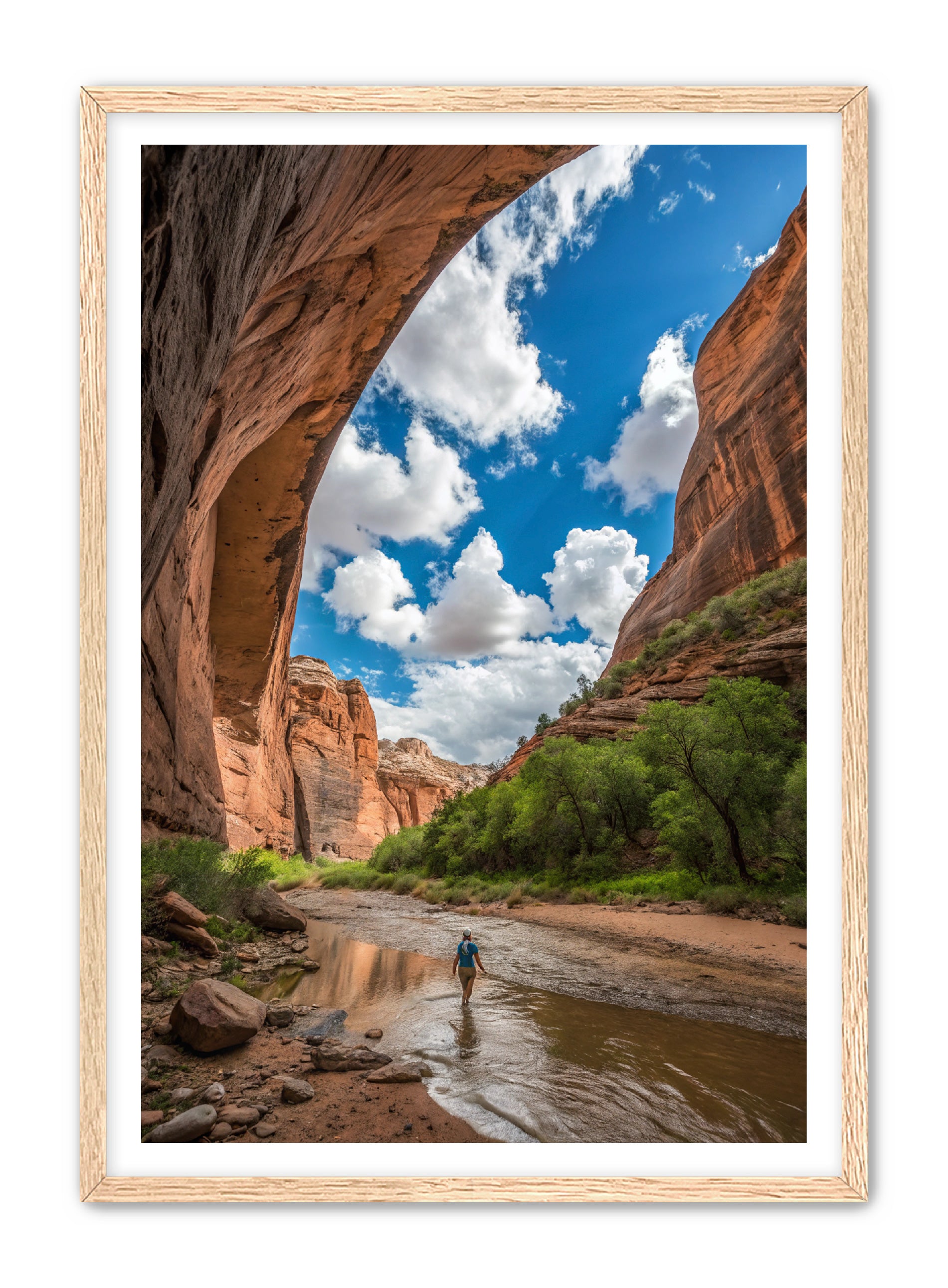 Apricus Prints 'Arches Creek' Apricus Art Collection