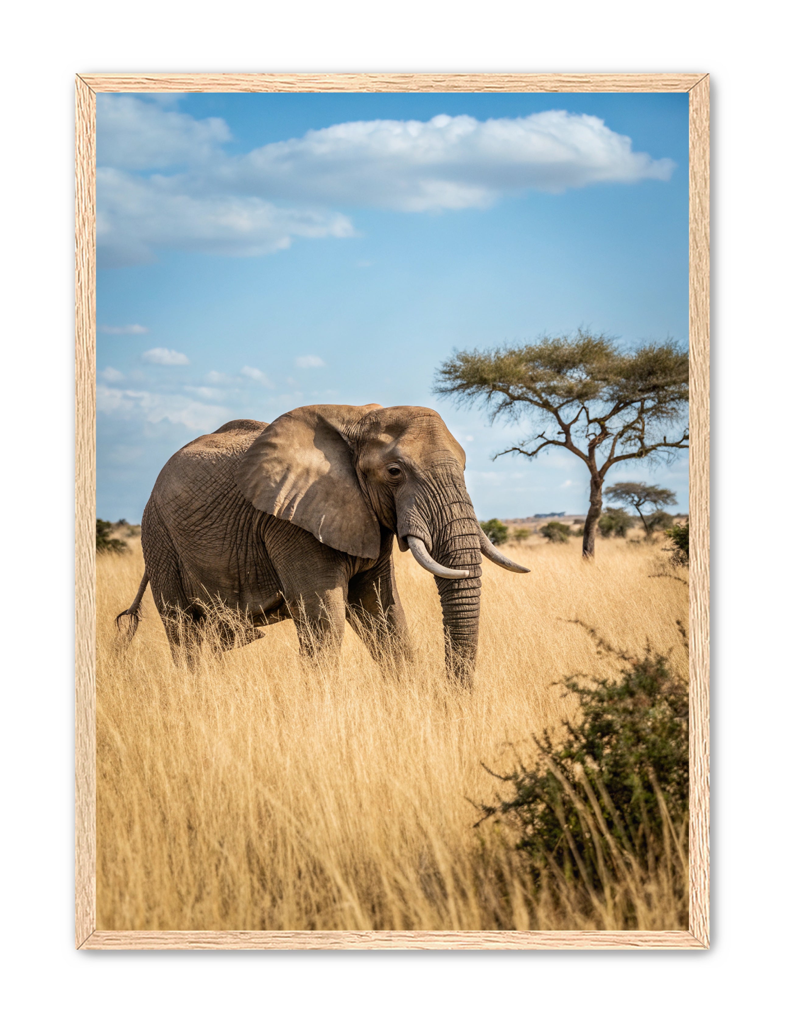 Apricus Prints 'Ellie, The Gentle Giant' Apricus Art Collection