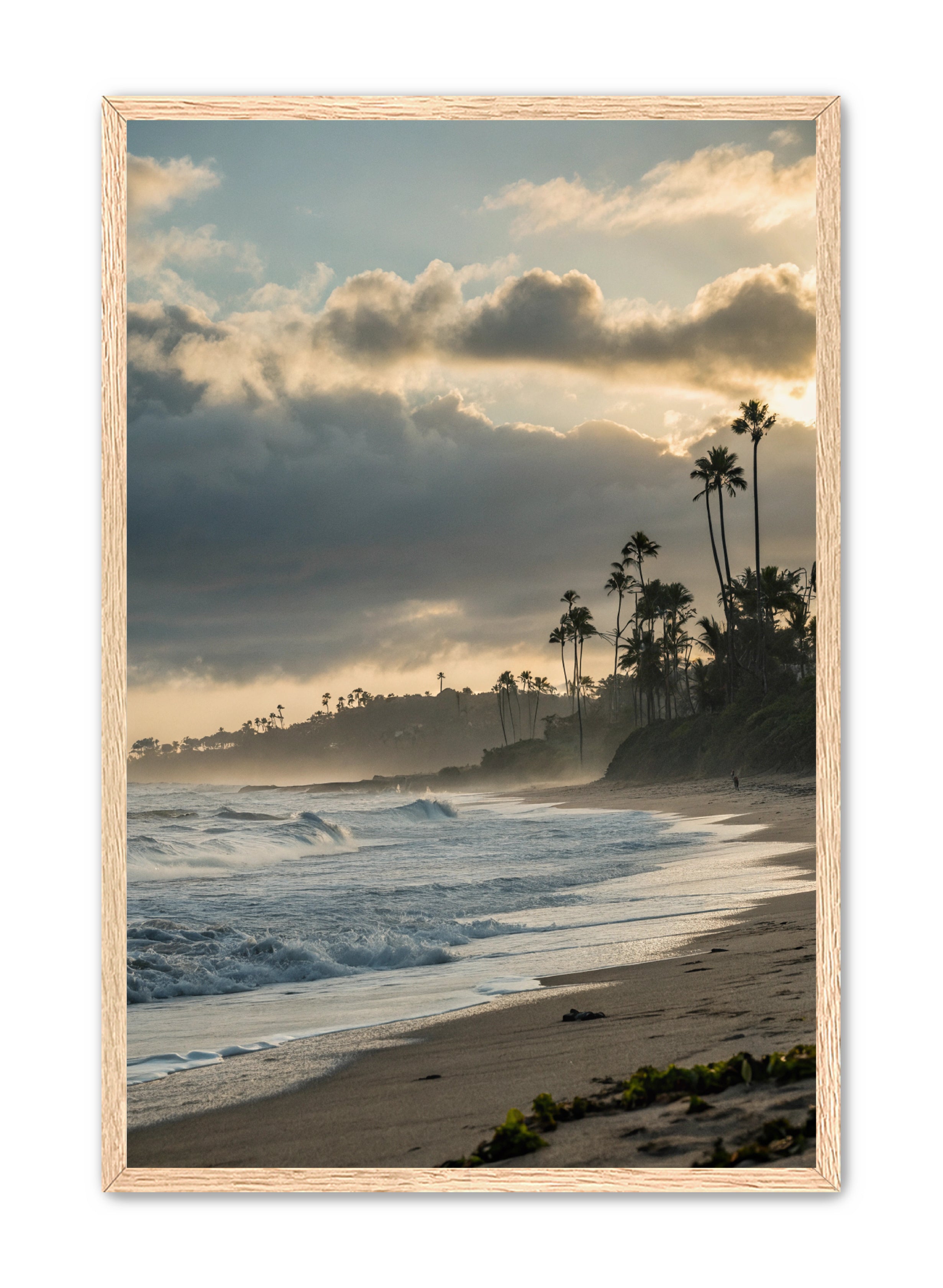 Apricus Prints Beaches 'Coastal Echoes' Apricus Art Collection