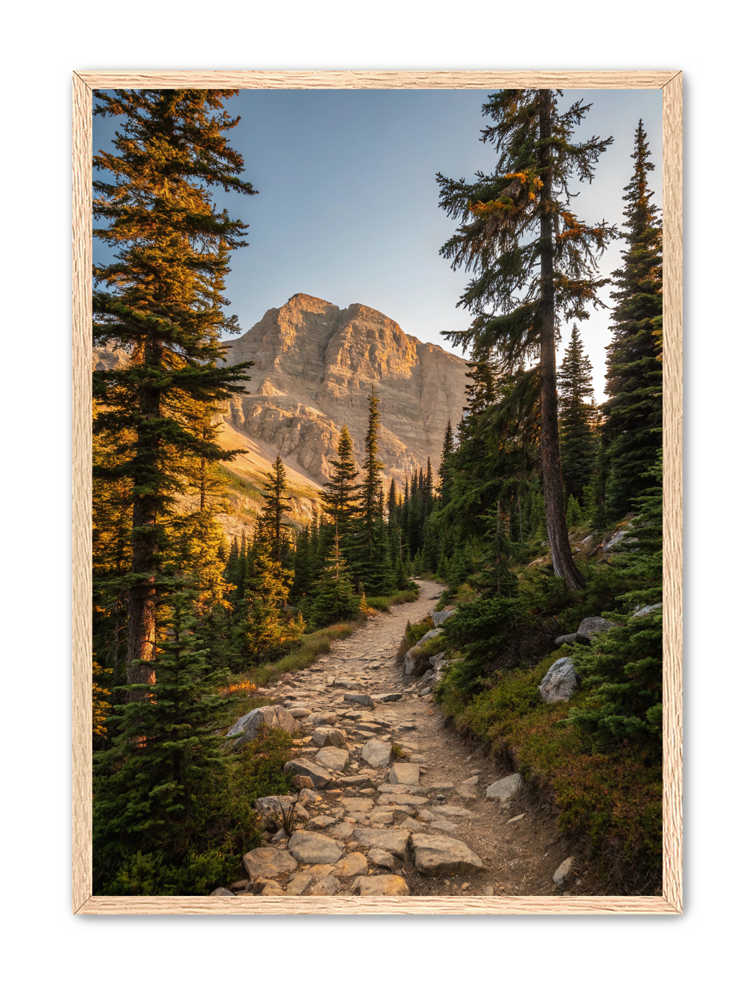 Apricus Prints 'Rocky Mountain Way' Apricus Art Collection