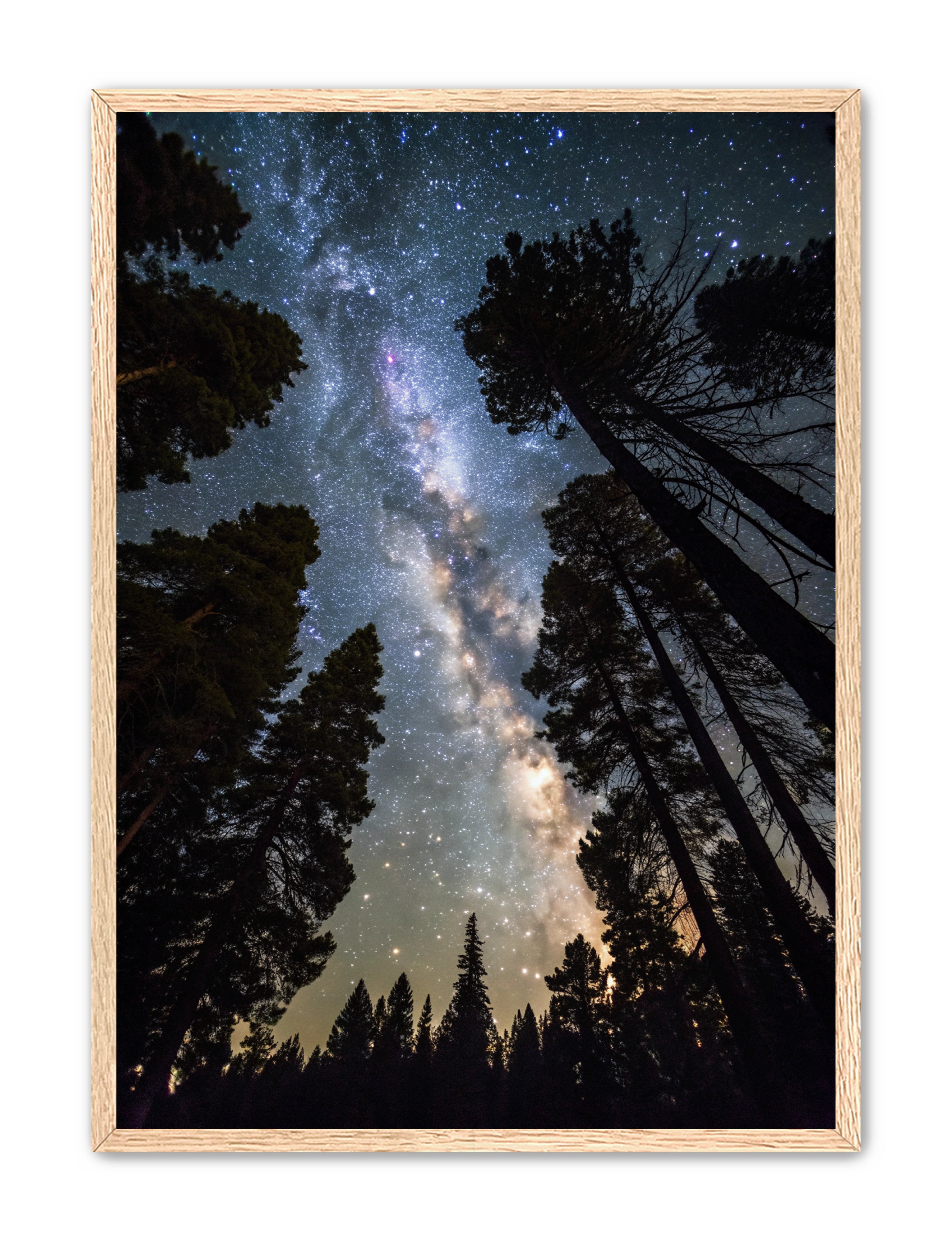 Apricus Prints 'Canopy of Eternity' Apricus Art Collection