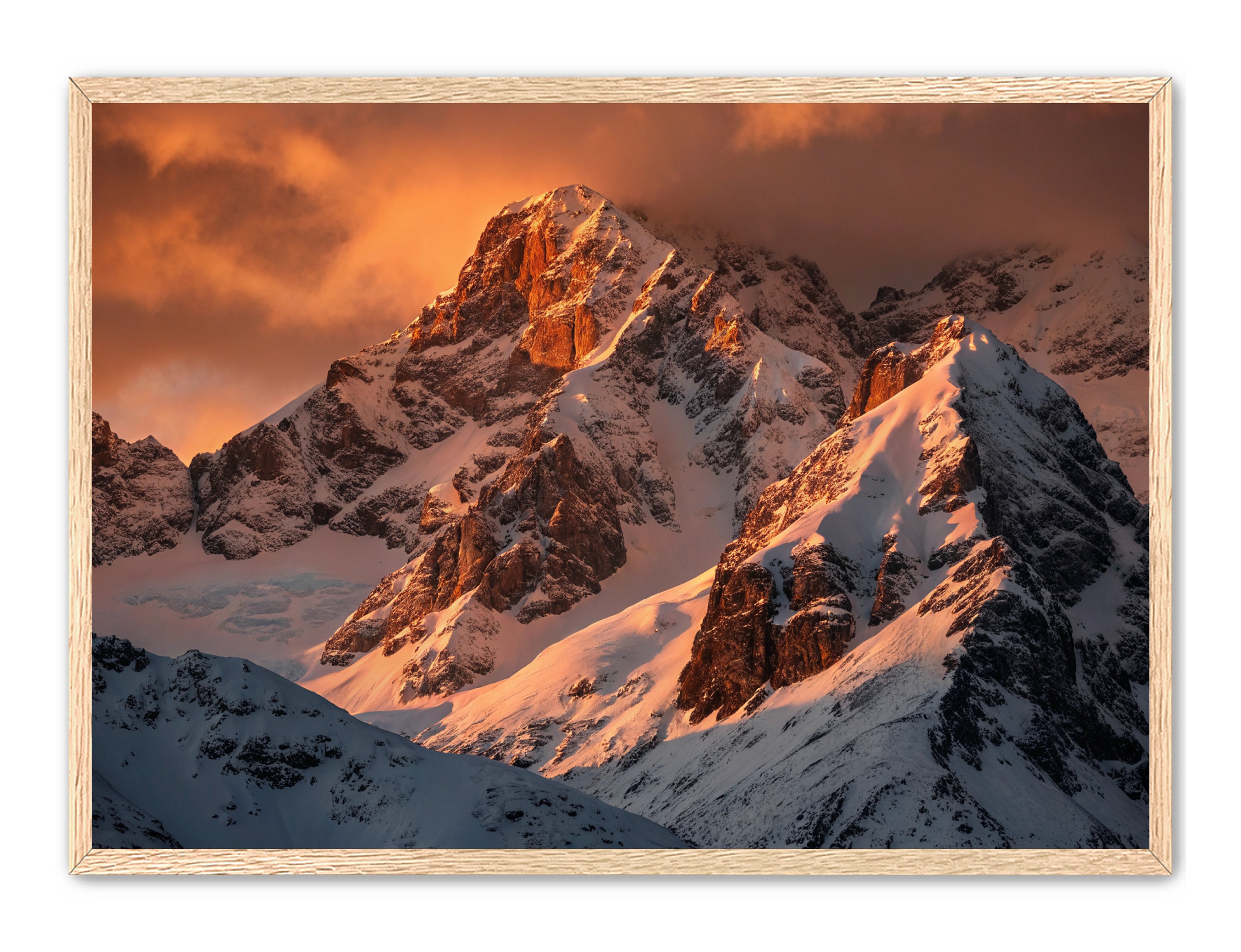 Apricus Prints 'Crimson Crown of the Himalayas' Apricus Art Collection