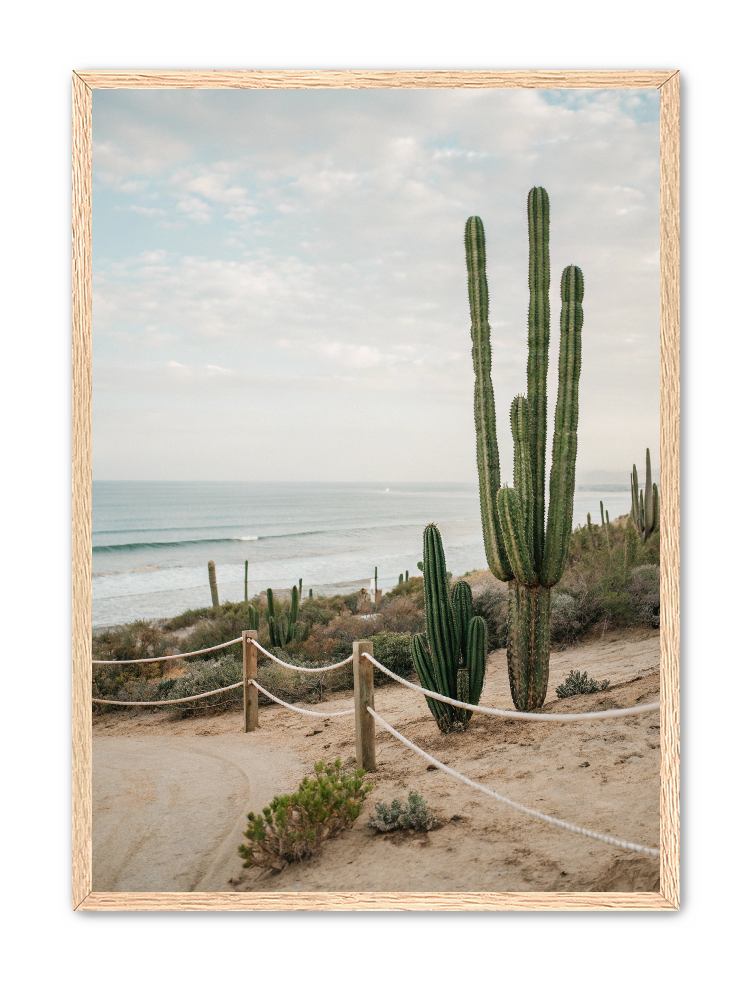 Apricus Prints Beaches 'SoCal' Apricus Art Collection