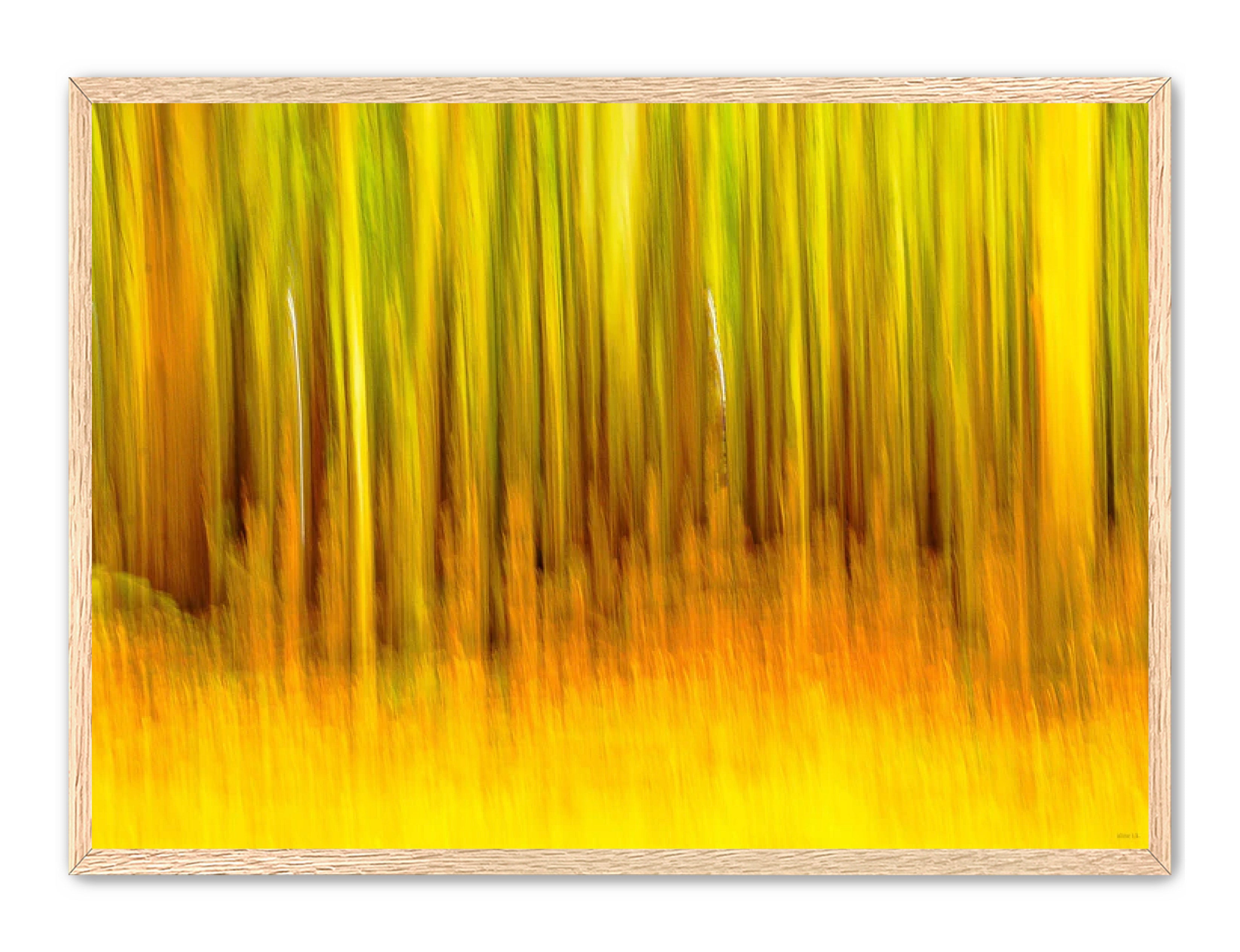 Abstract Photography Prints 'The forest' Aline Karagozlu