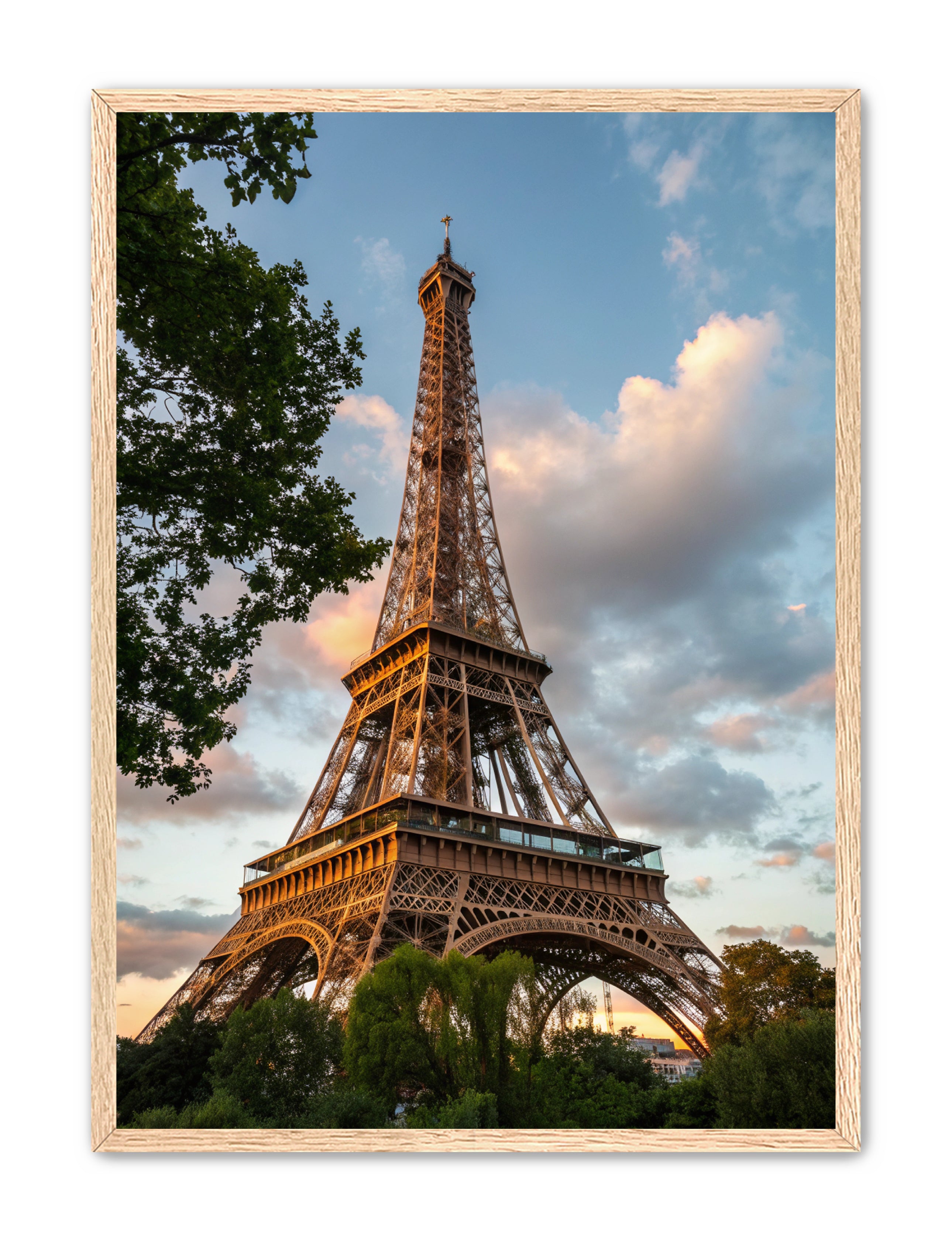 Apricus Prints 'Paris Bloom' Apricus Art Collection