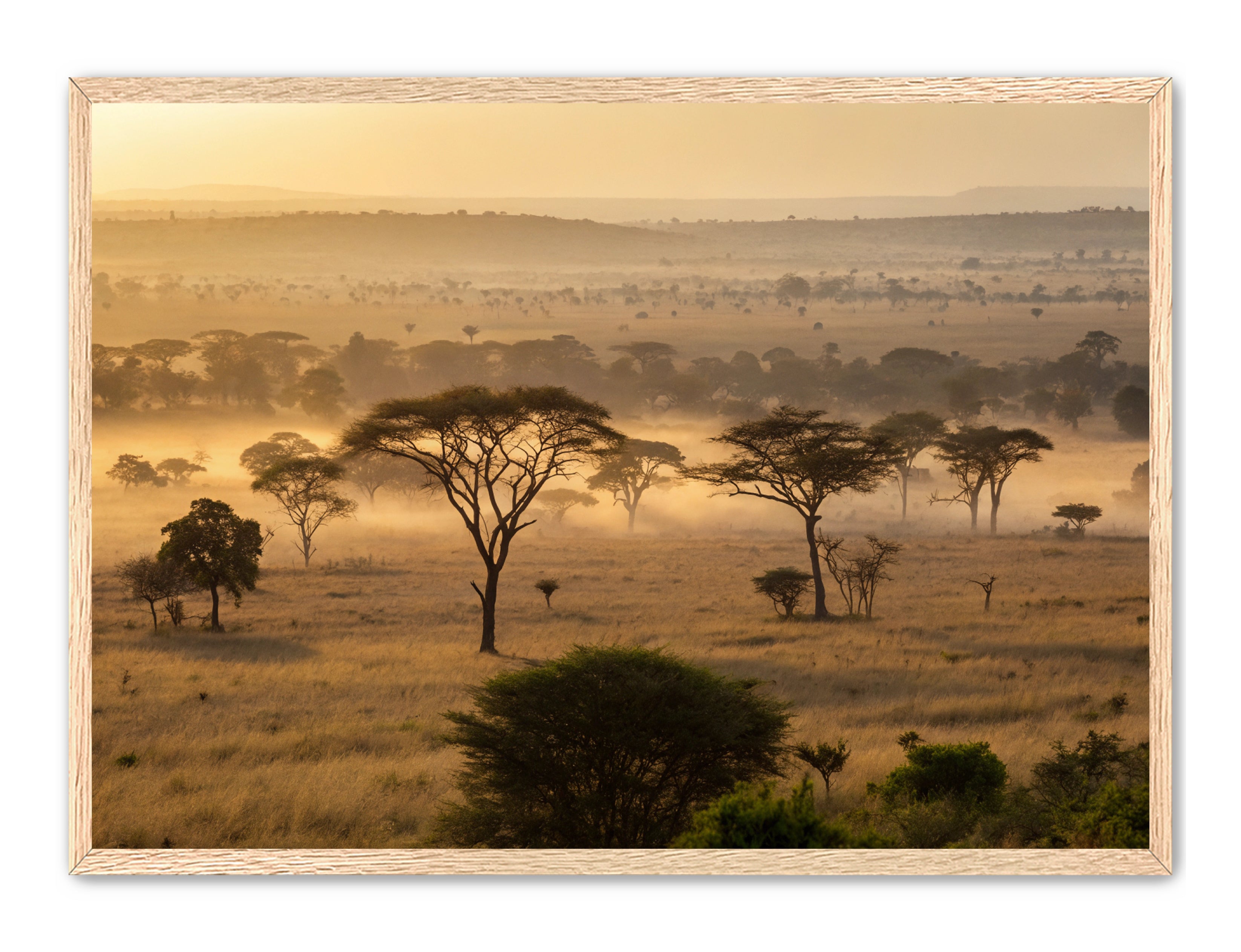 Apricus Prints 'Sunrise on the Serengeti' Apricus Art Collection