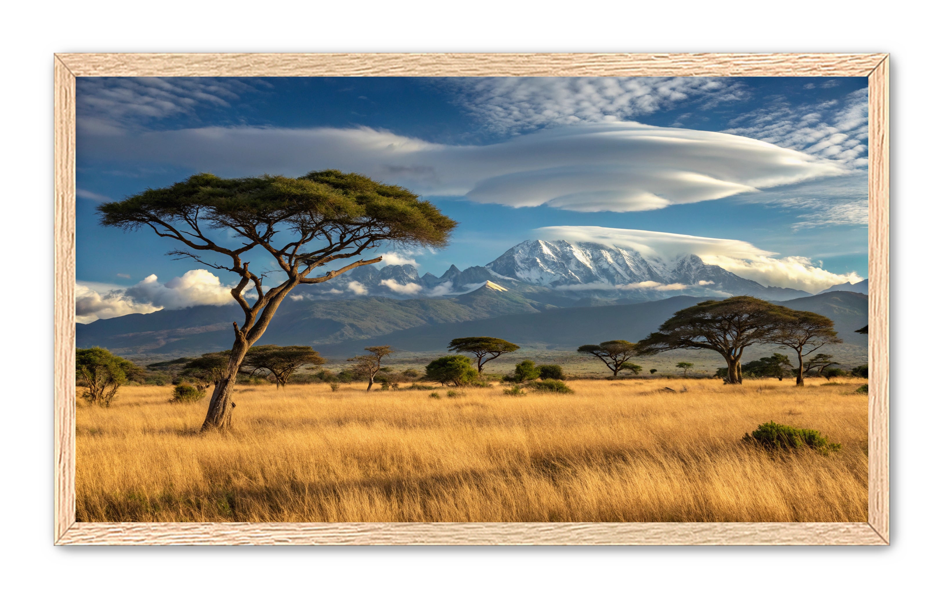 Apricus Prints 'Safari Layers' Apricus Art Collection