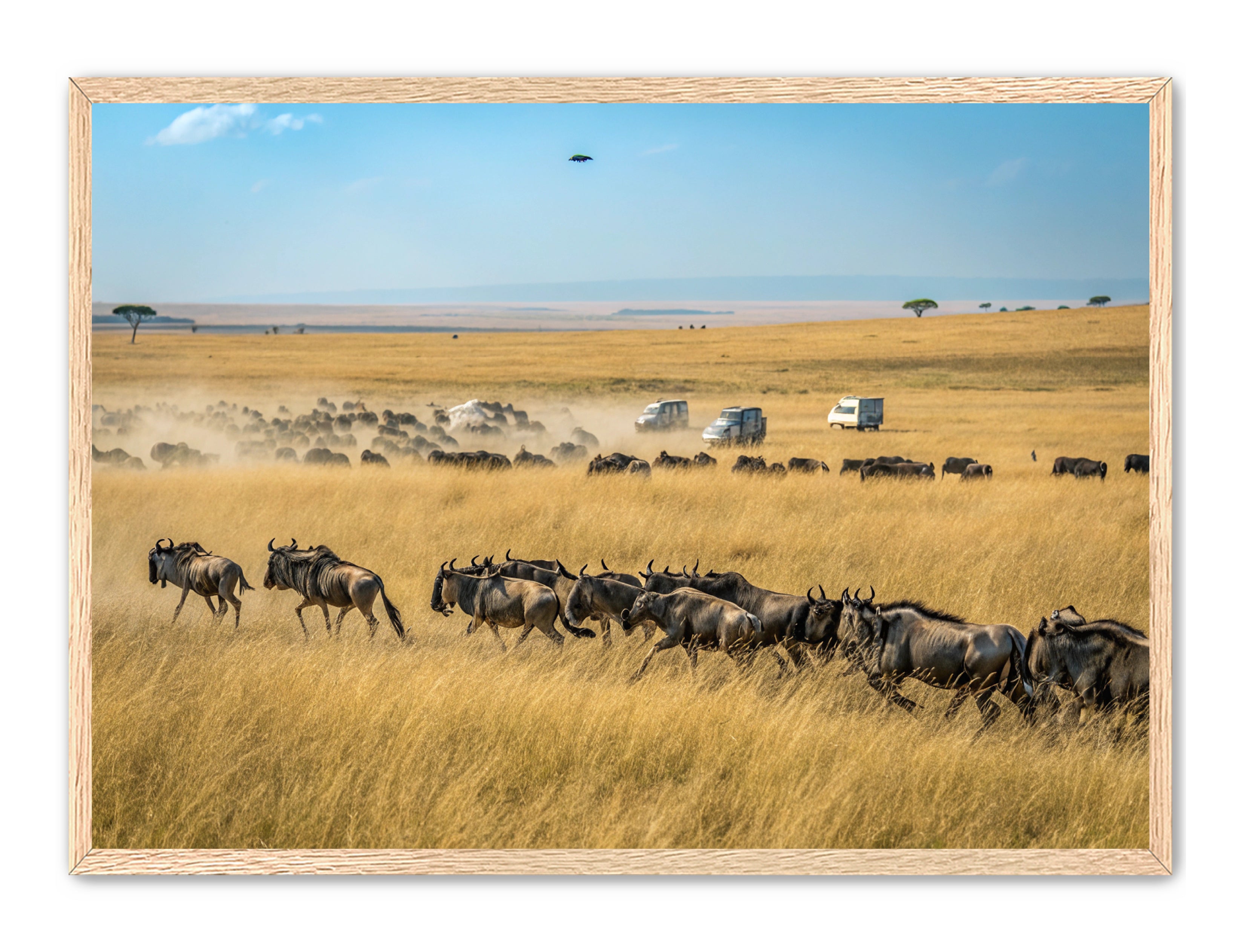 Apricus Prints 'Serengeti Stampede' Apricus Art Collection