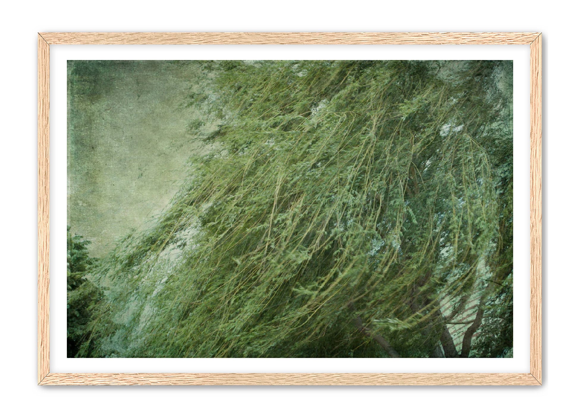 PhotoArt Prints 'TEXTURED TREES 2' Danielle Neumann Kelly