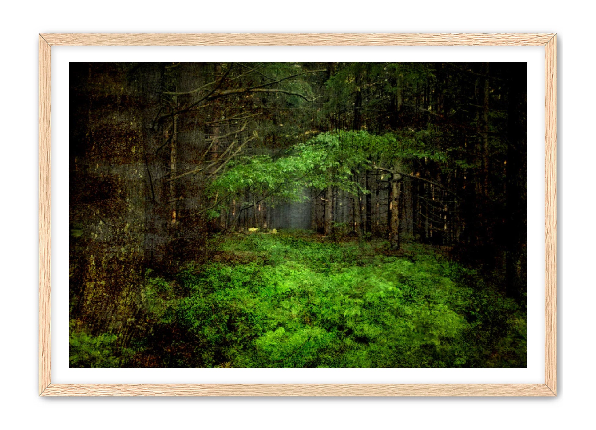 PhotoArt Prints 'TEXTURED TREES 3' Danielle Neumann Kelly