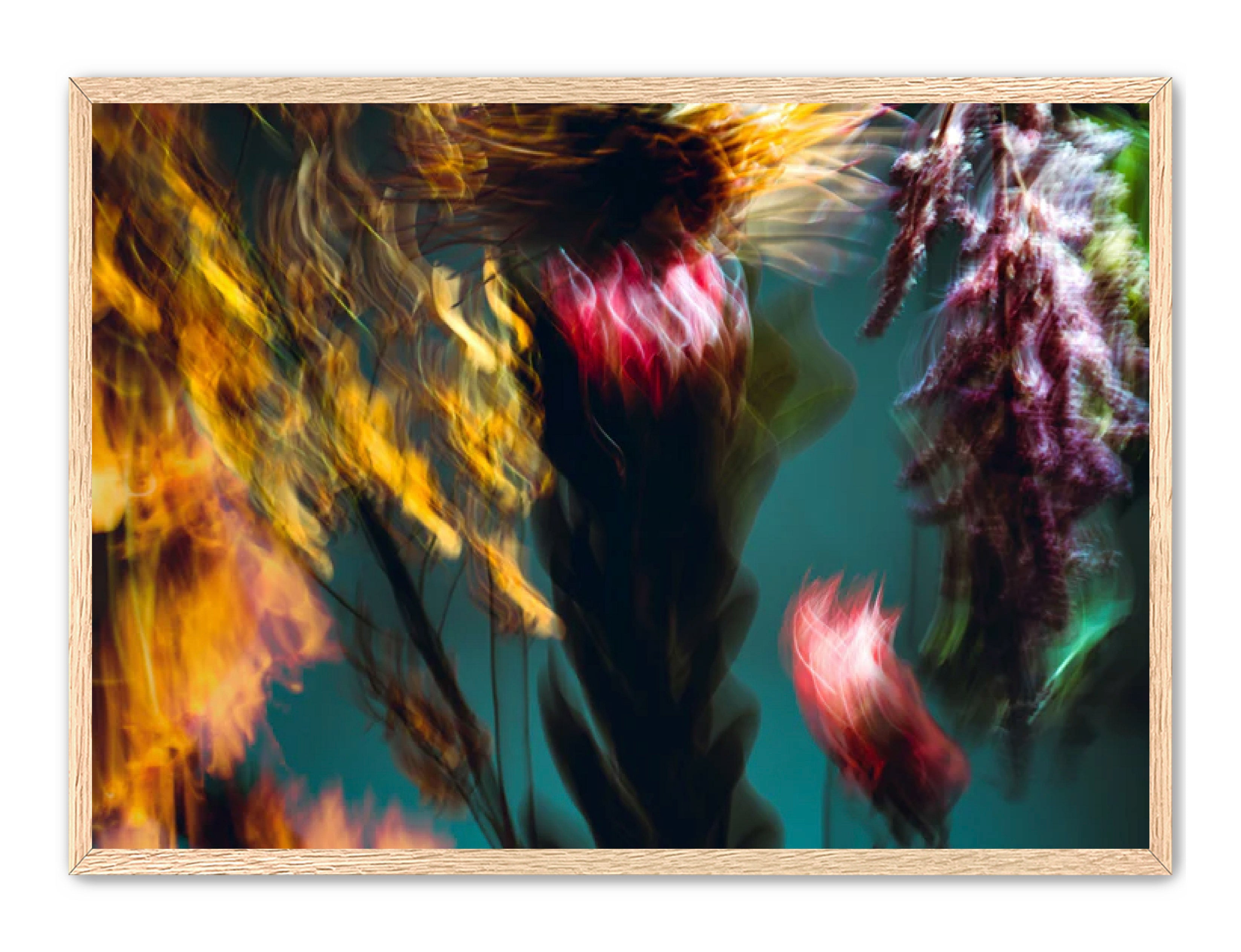 Photography Prints 'Fleur Bleur' Reed Decker