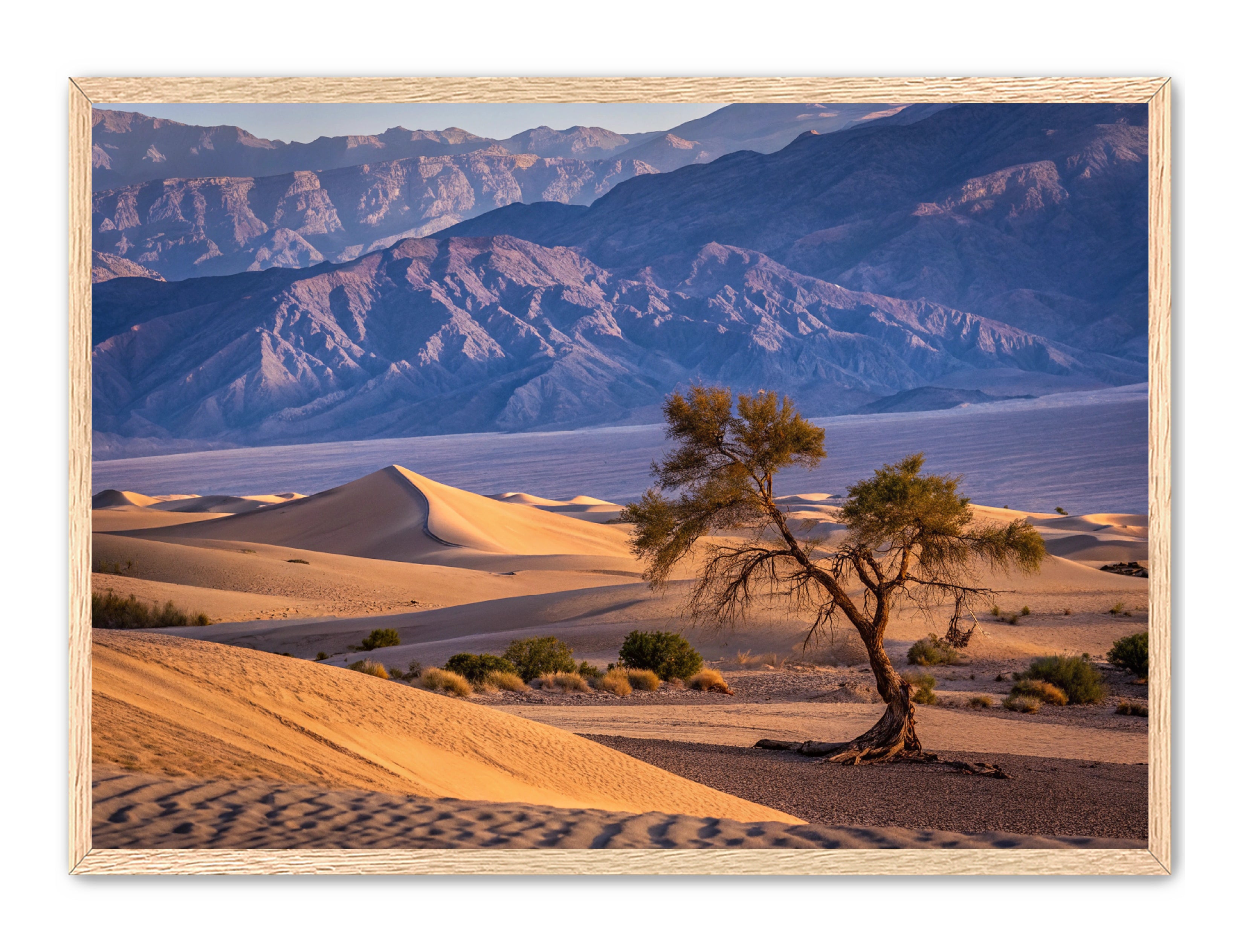 Apricus Prints 'Alone in the Desert' Apricus Art Collection