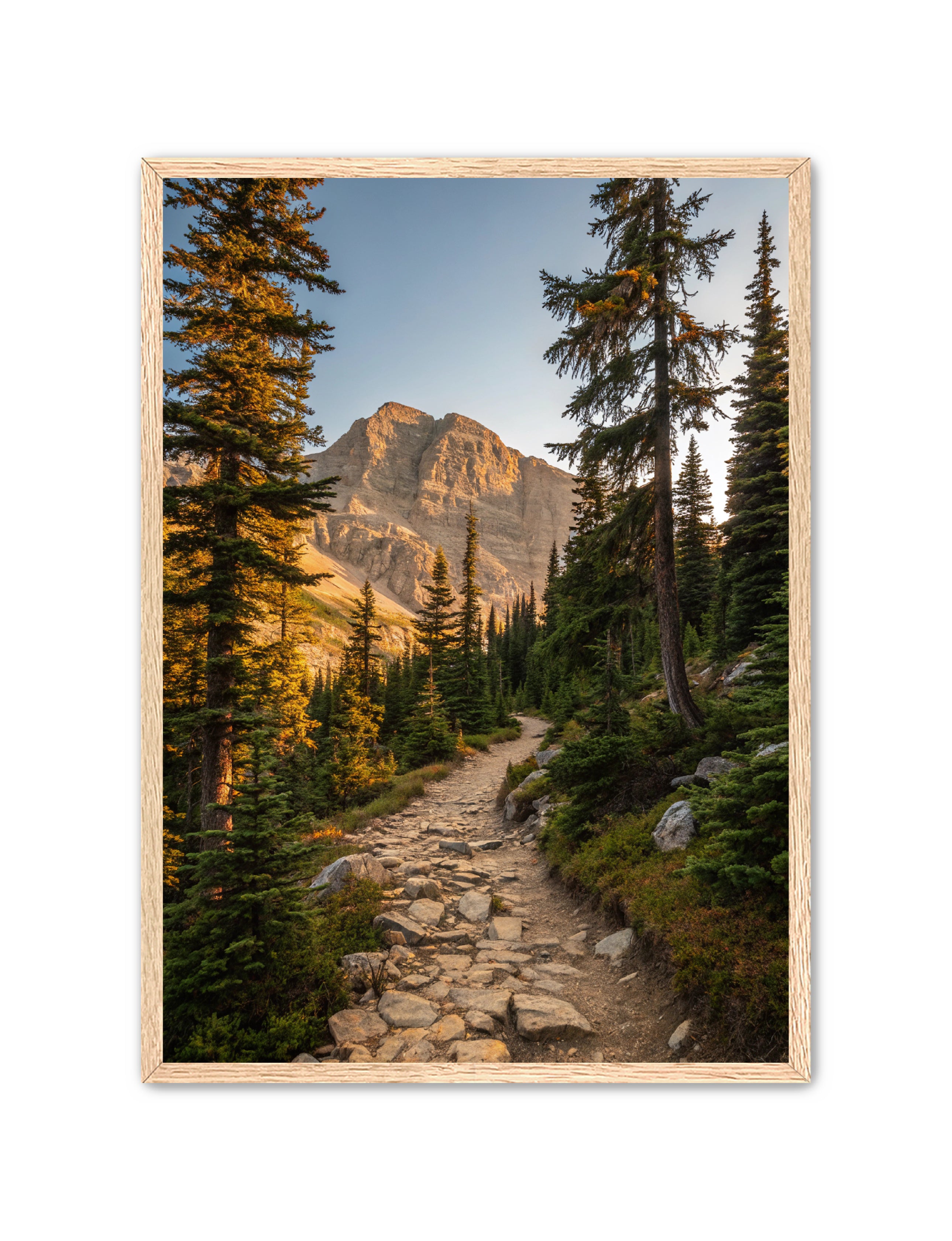 Apricus Prints 'Rocky Mountain Way' Apricus Art Collection