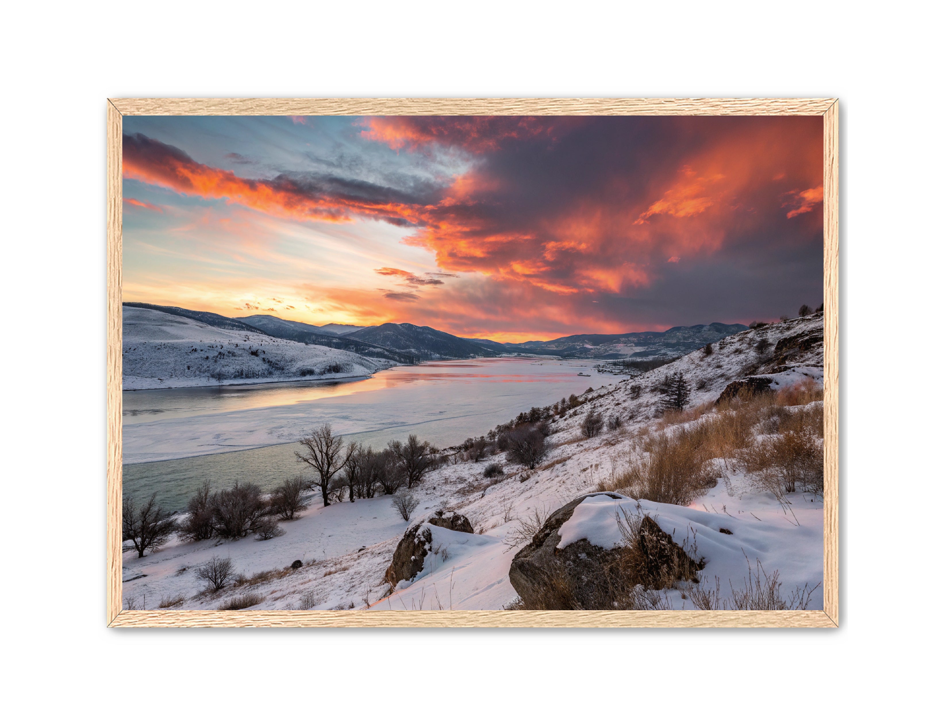 Apricus Prints 'Winter Reds' Apricus Art Collection