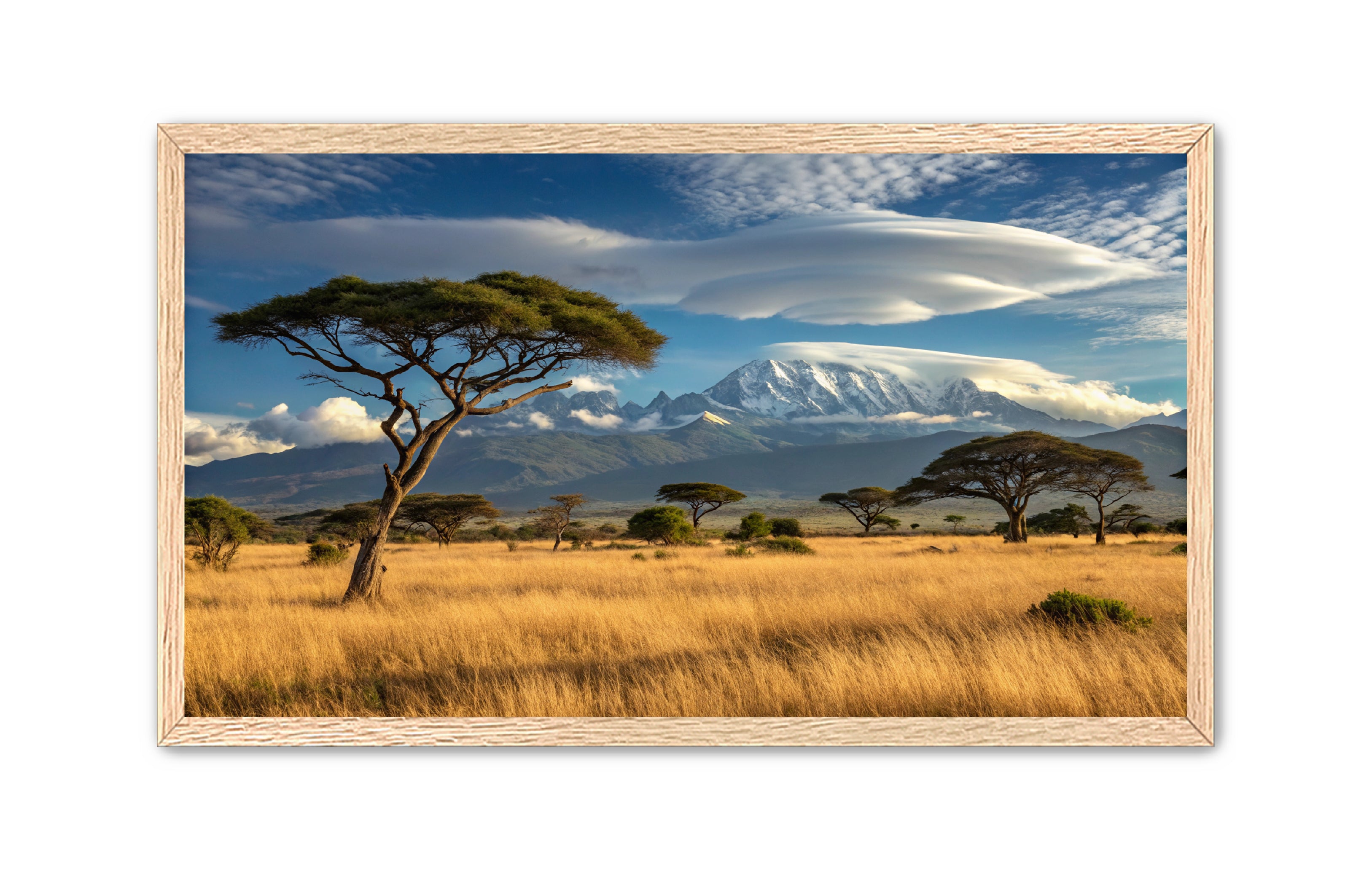 Apricus Prints 'Safari Layers' Apricus Art Collection