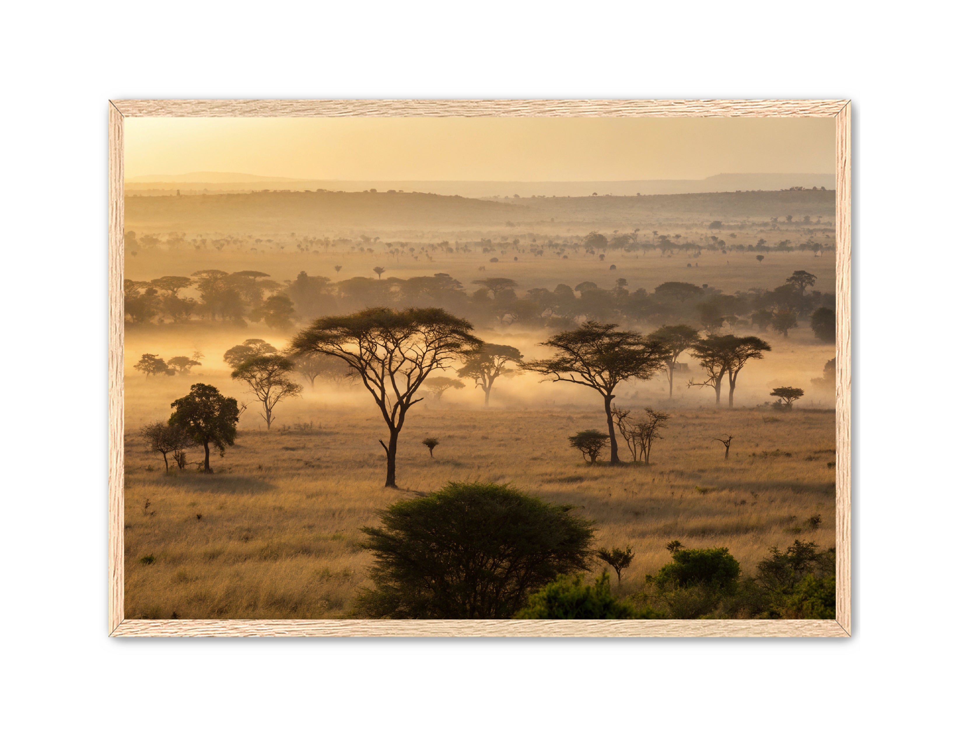 Apricus Prints 'Sunrise on the Serengeti' Apricus Art Collection