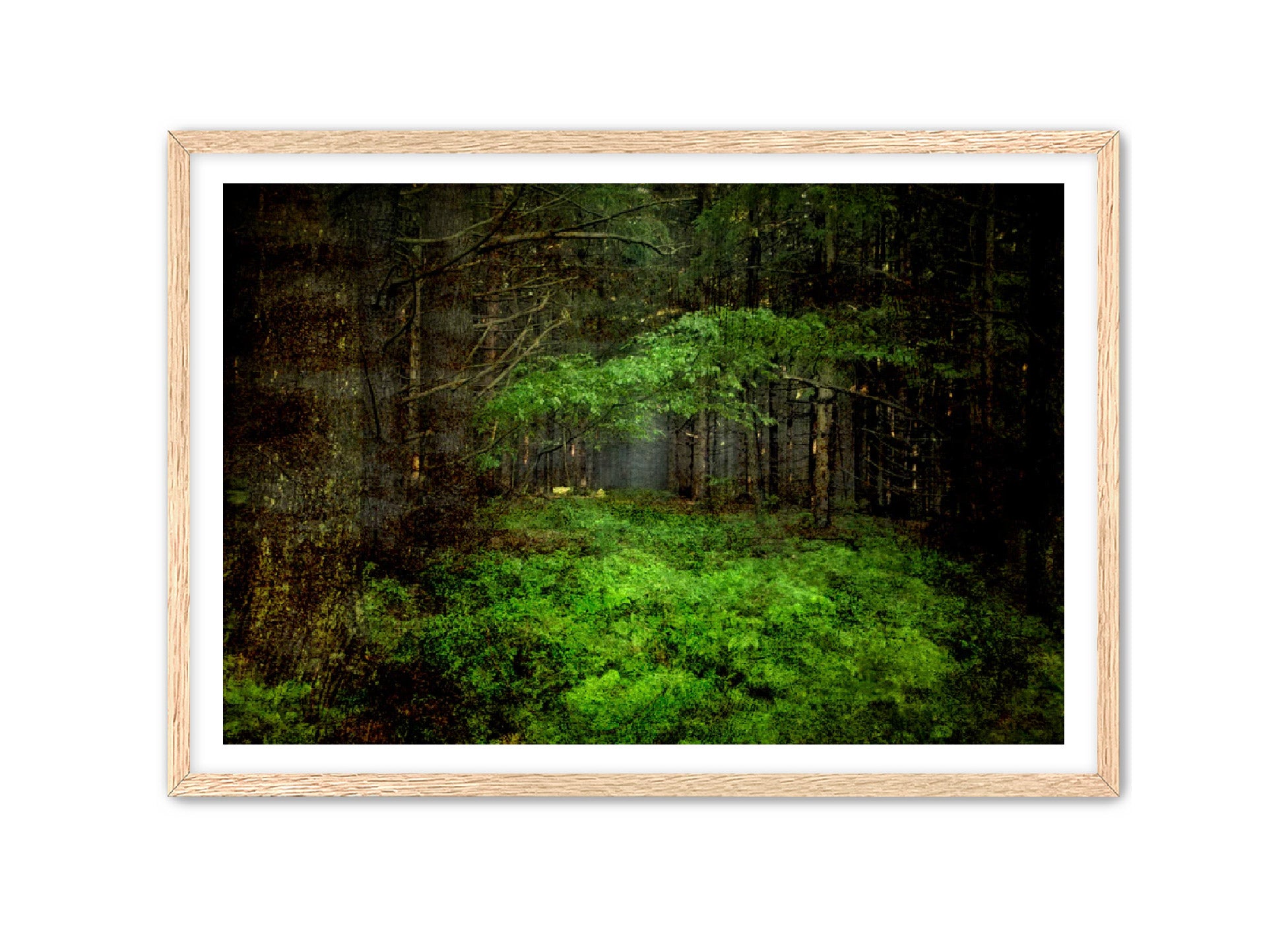 PhotoArt Prints 'TEXTURED TREES 3' Danielle Neumann Kelly