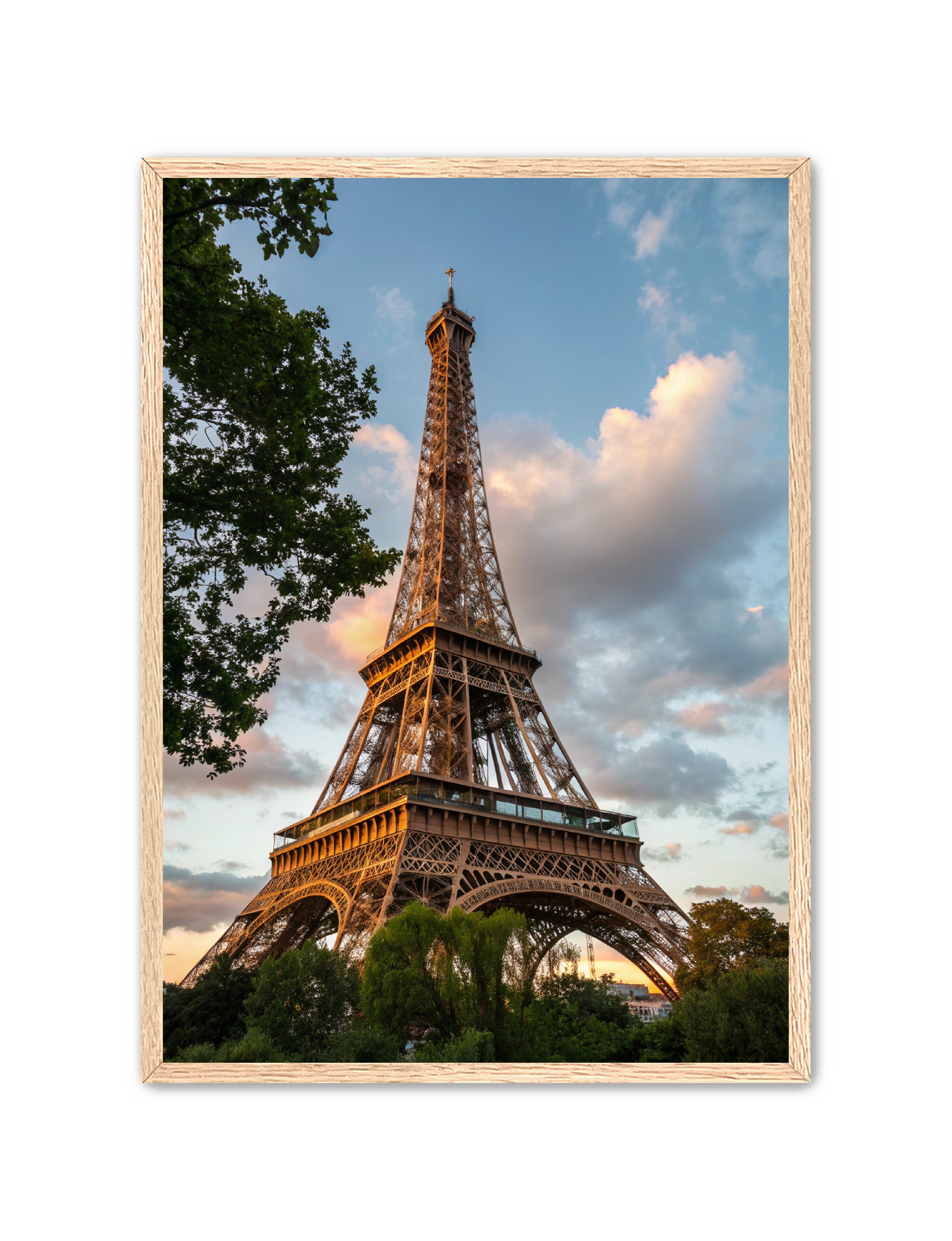 Apricus Prints 'Paris Bloom' Apricus Art Collection