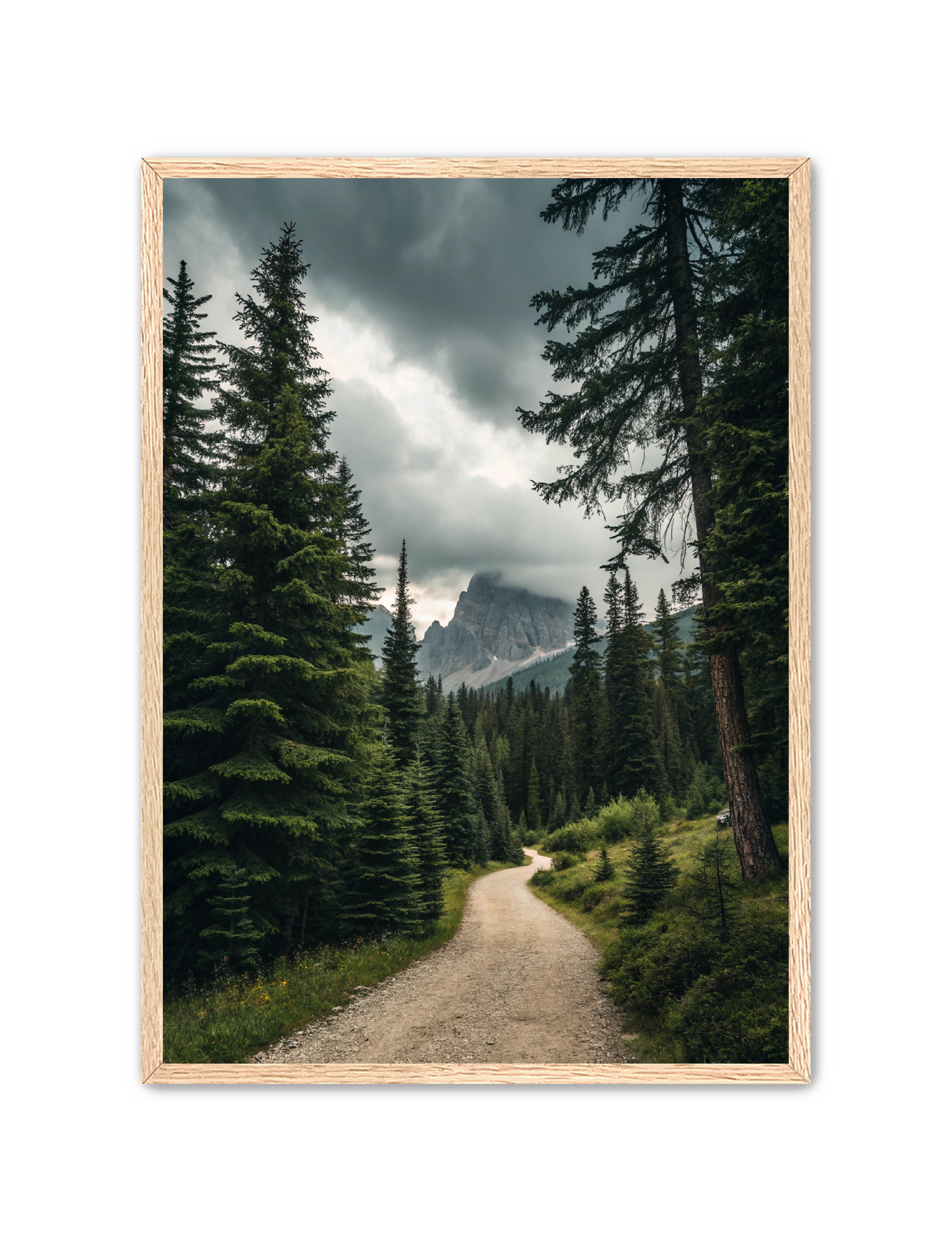 Apricus Prints 'Path to the Peaks' Apricus Art Collection