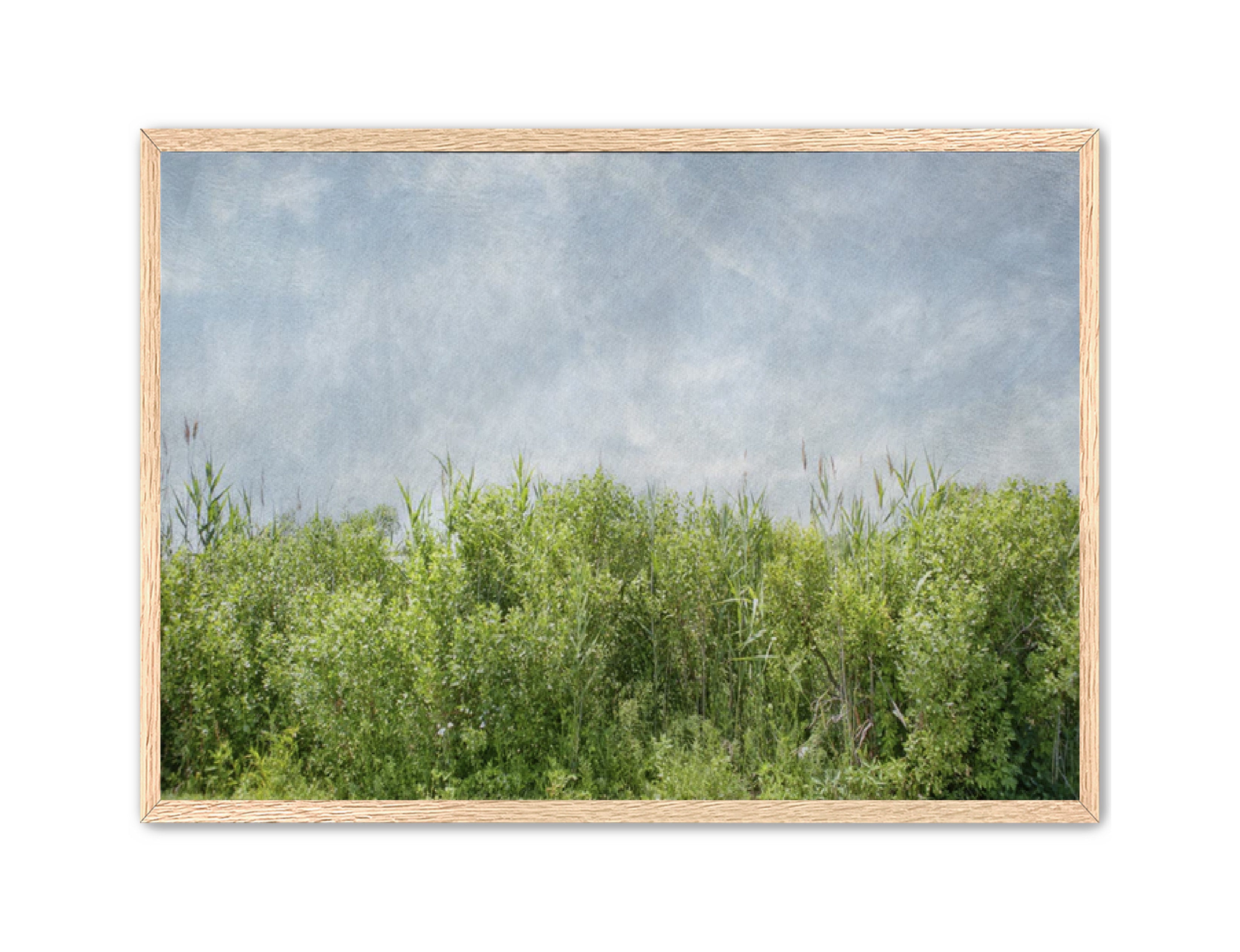 PhotoArt Prints 'BEACH BRIAR' Danielle Neumann Kelly