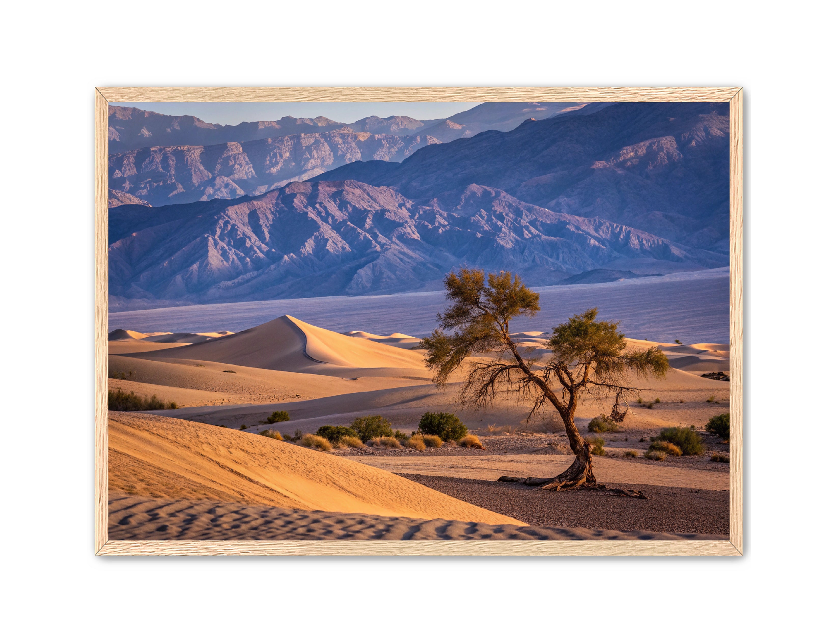 Apricus Prints 'Alone in the Desert' Apricus Art Collection