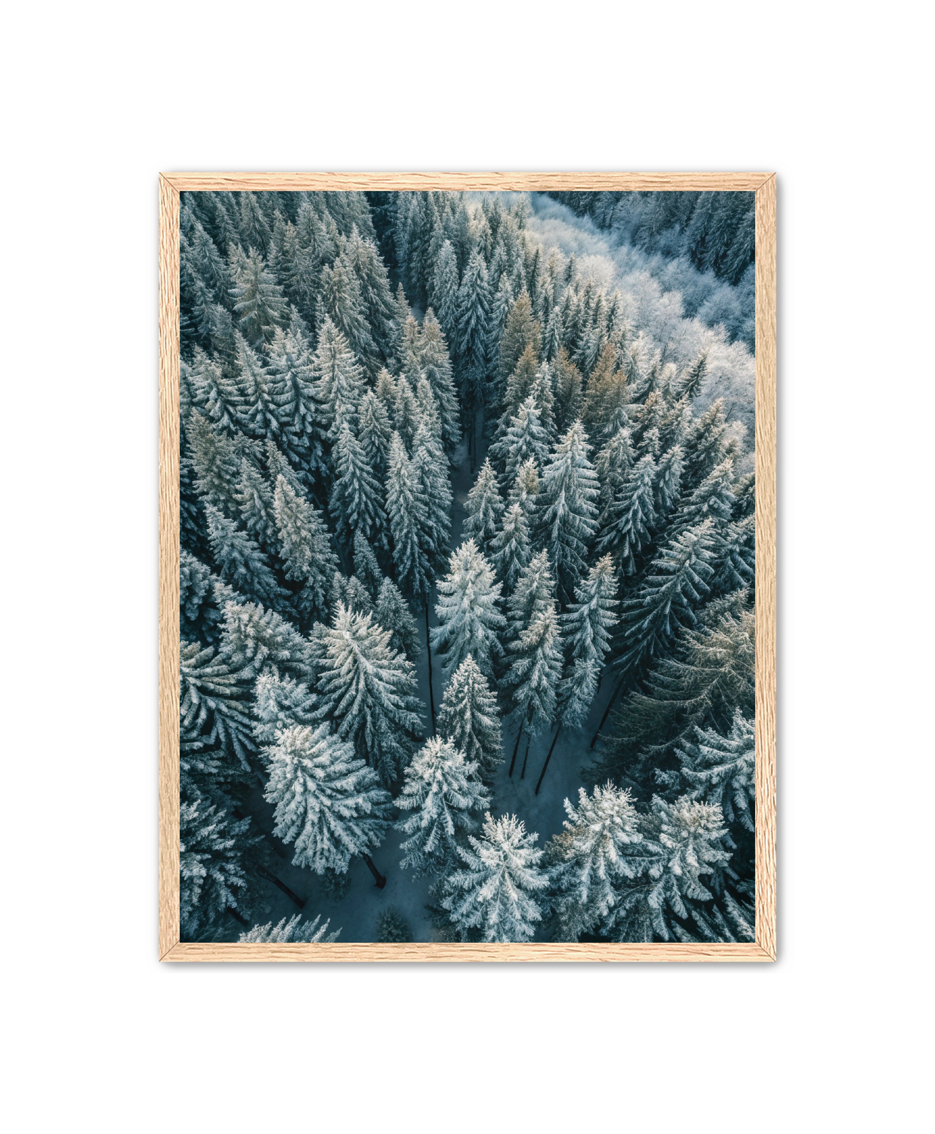 Apricus Prints Nature 'Winter Veins' Apricus Art Collection