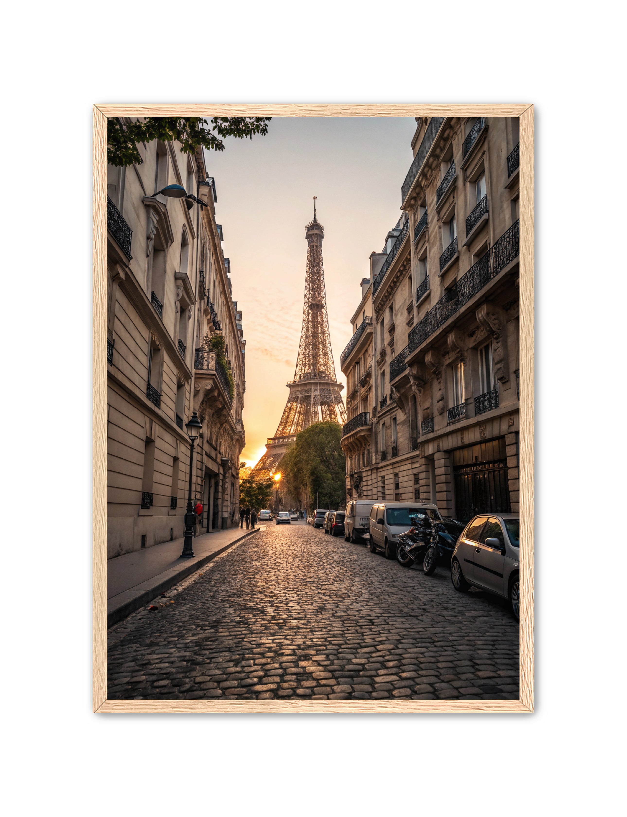 Apricus Prints 'Paris Passage' Apricus Art Collection