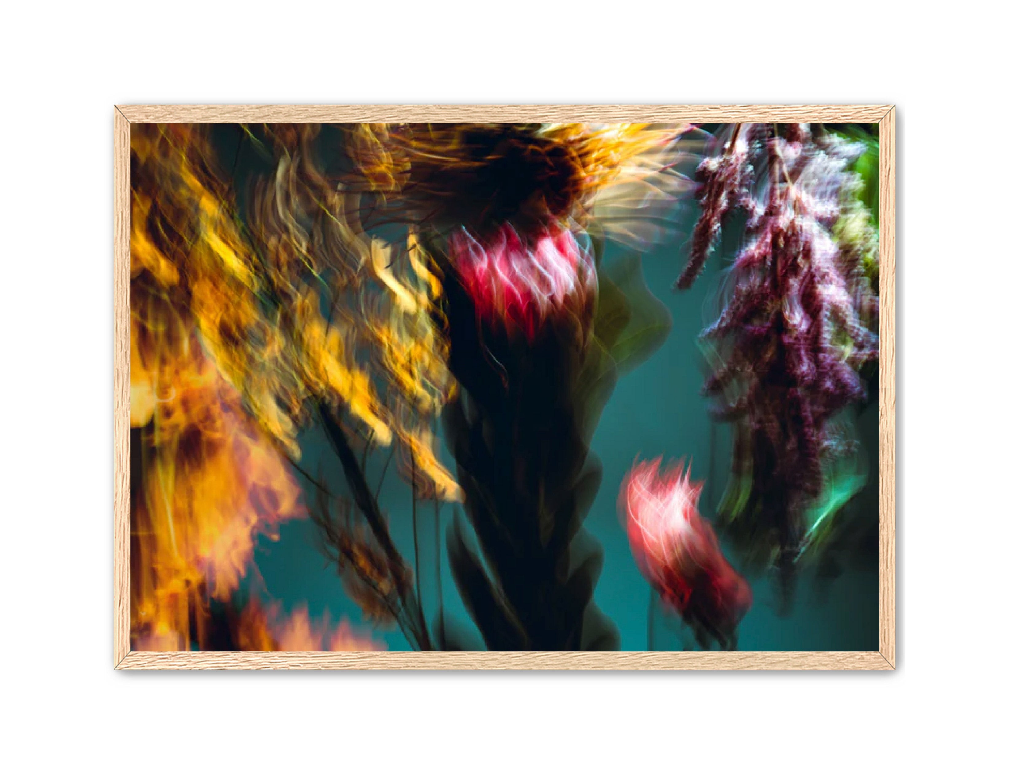 Photography Prints 'Fleur Bleur' Reed Decker