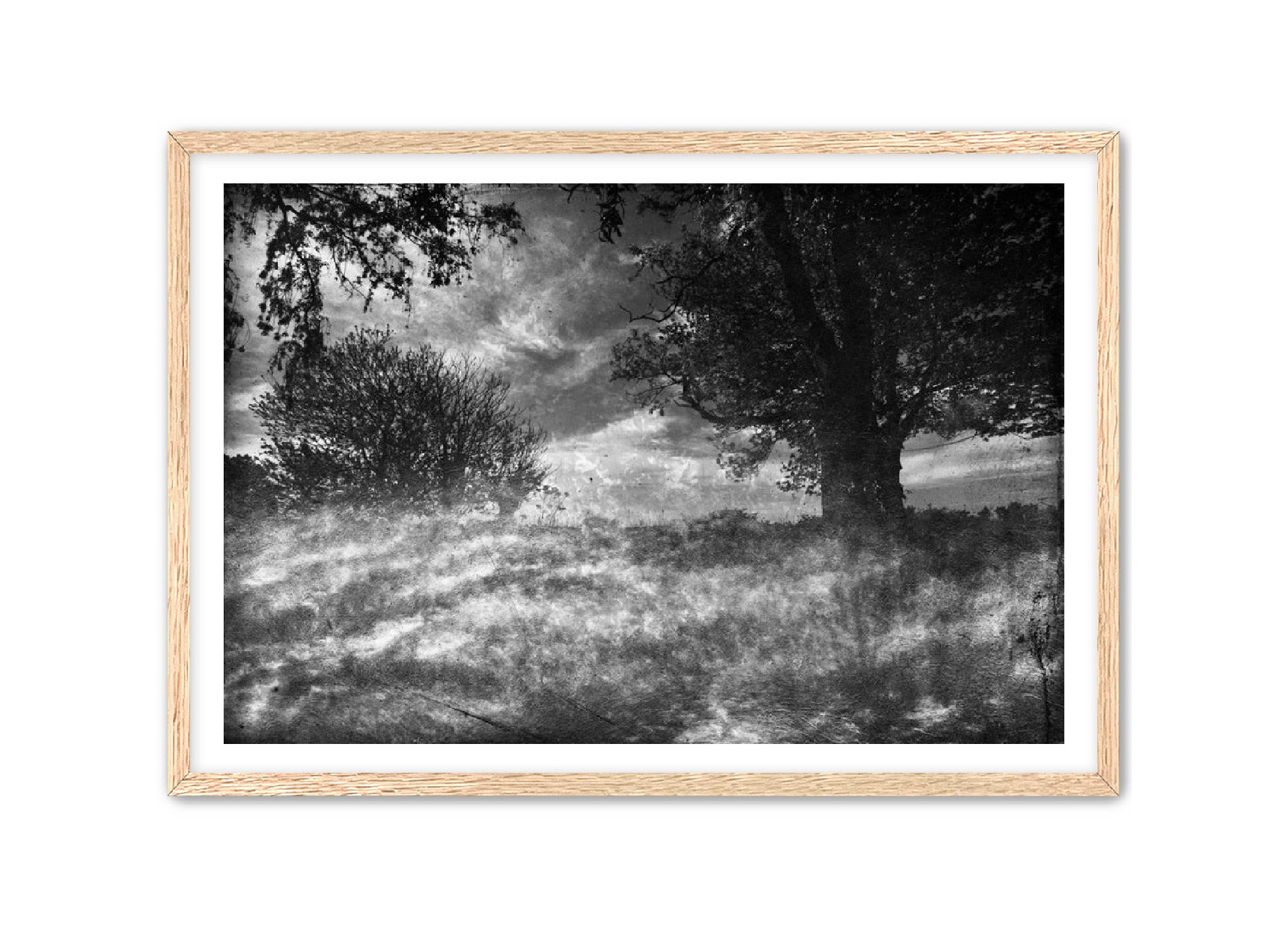 PhotoArt Prints 'CLOUDS IN TREES' Danielle Neumann Kelly