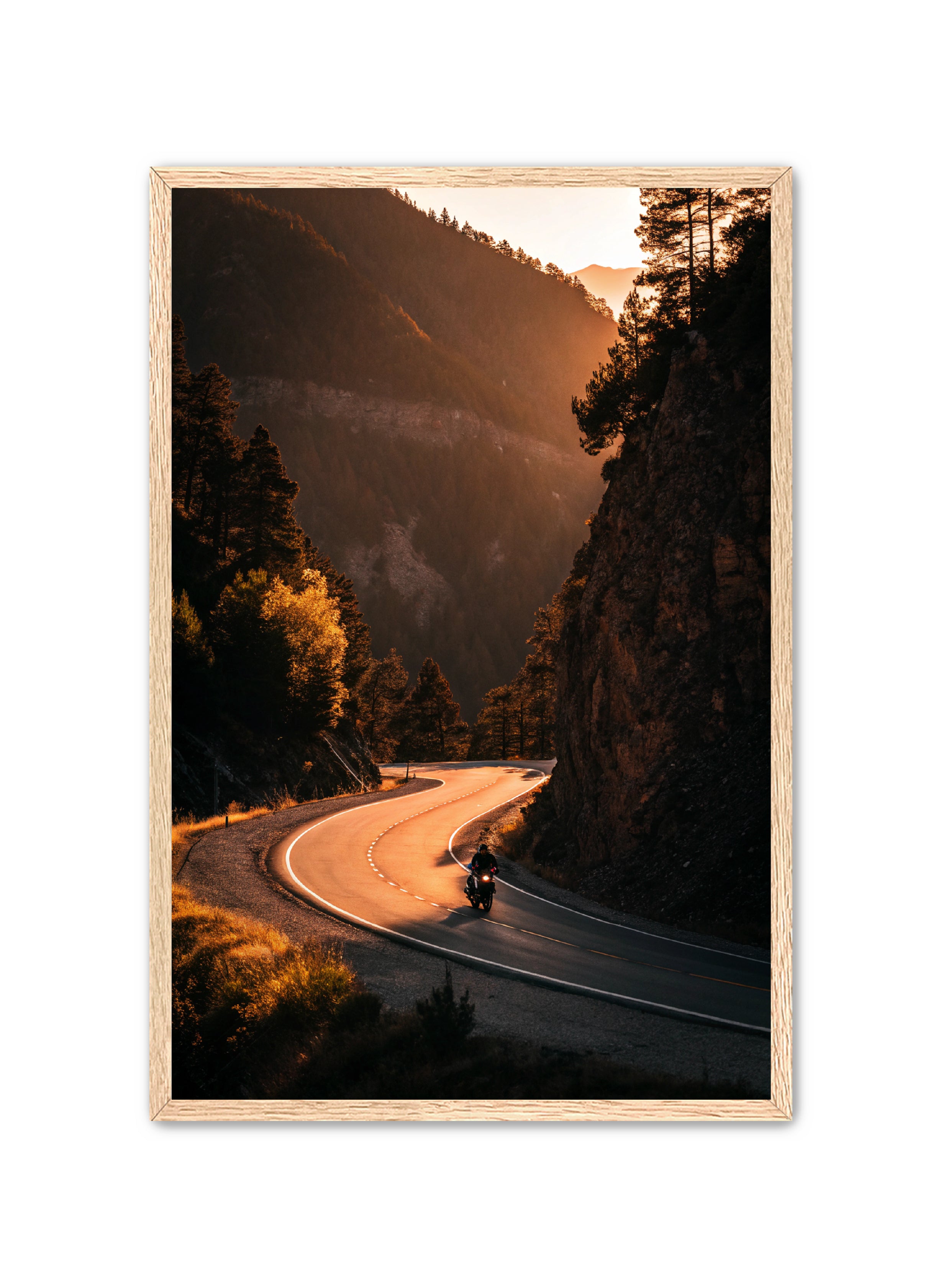 Apricus Prints 'Riding the Ridge' Apricus Art Collection