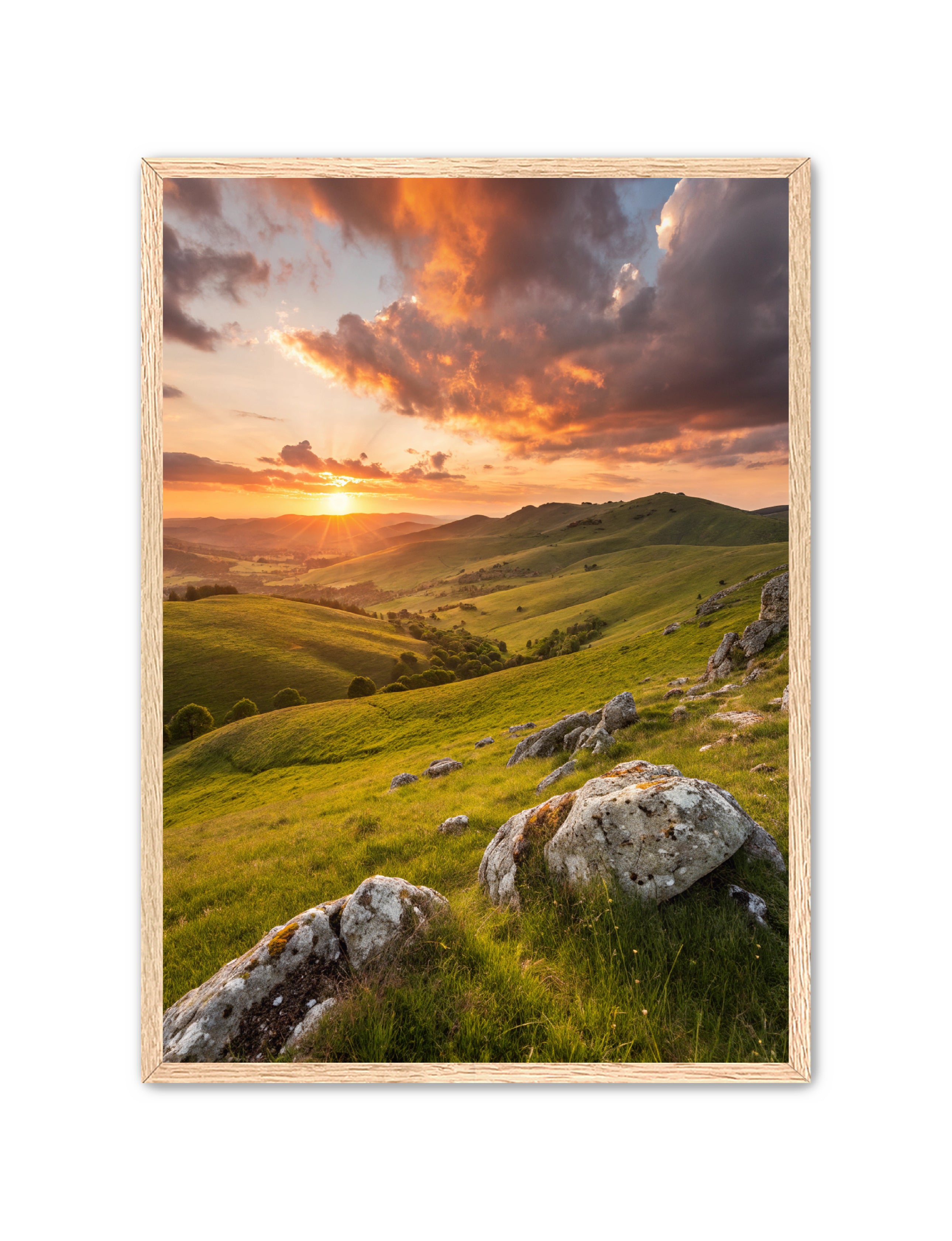 Apricus Prints 'Highland Glow' Apricus Art Collection