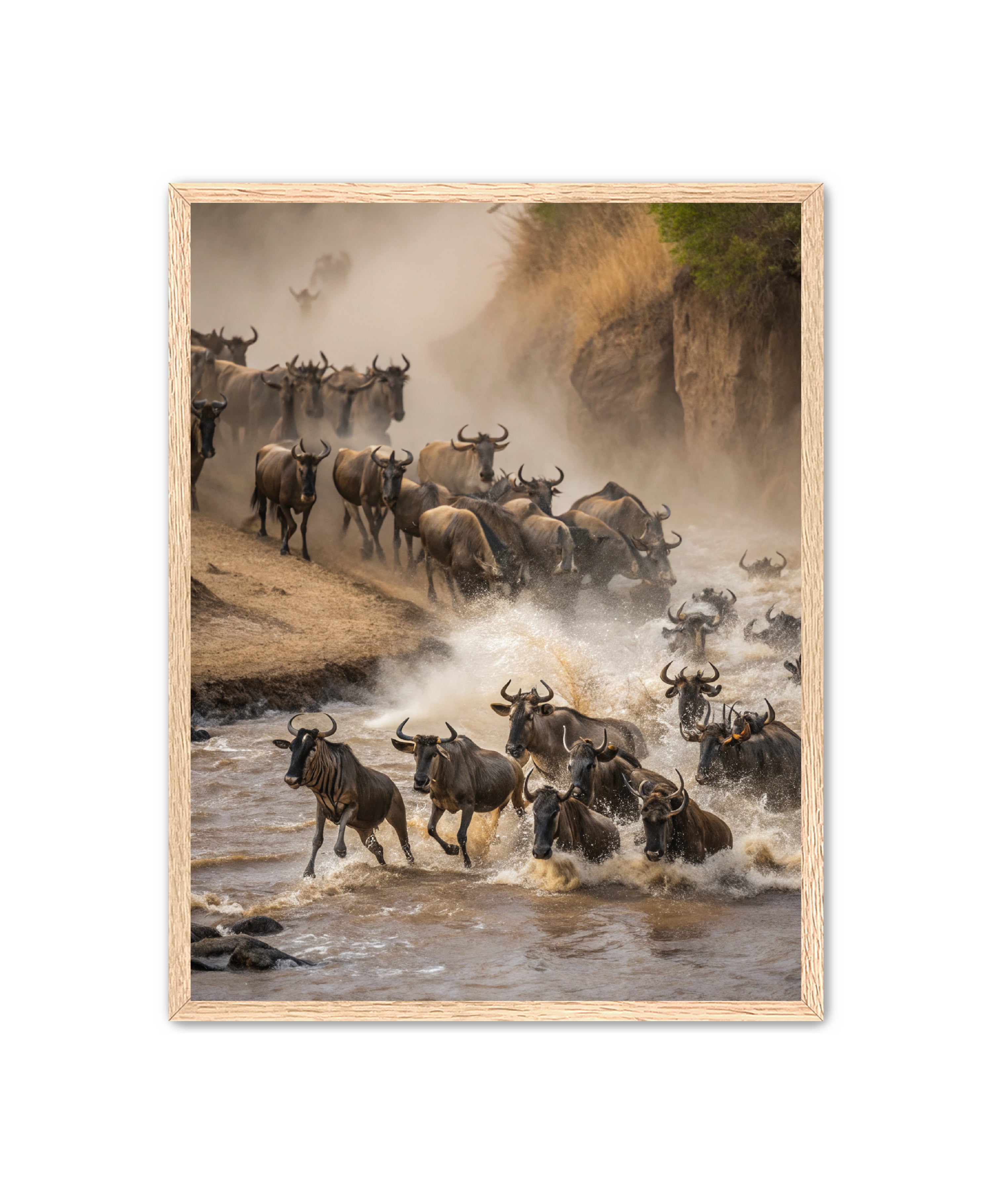 Apricus Prints 'Stampede Crossing' Apricus Art Collection