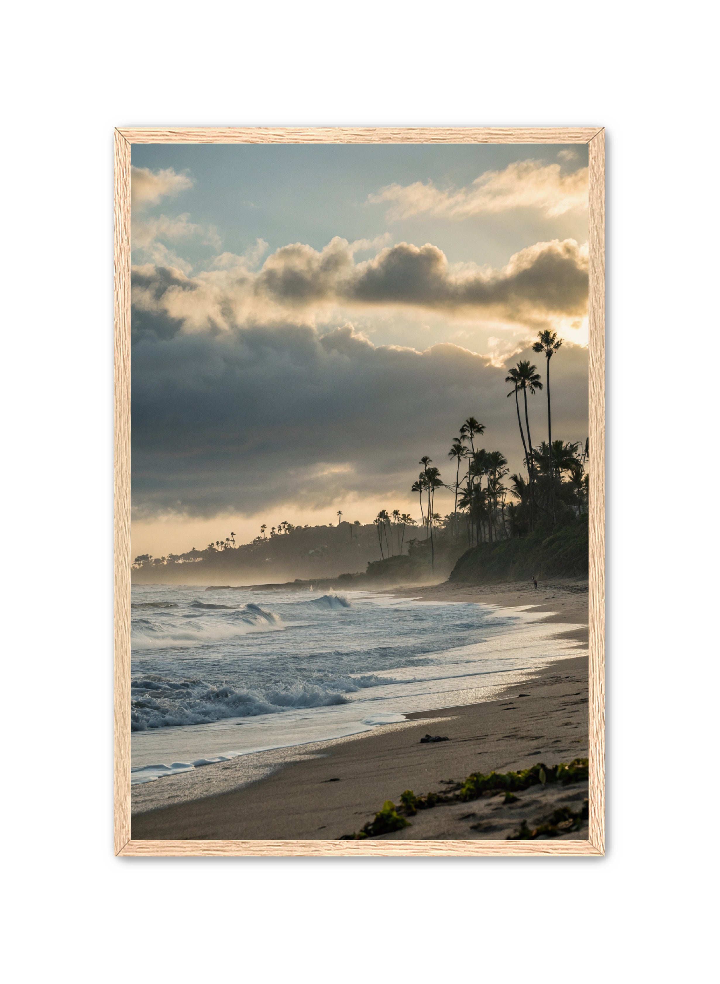 Apricus Prints Beaches 'Coastal Echoes' Apricus Art Collection