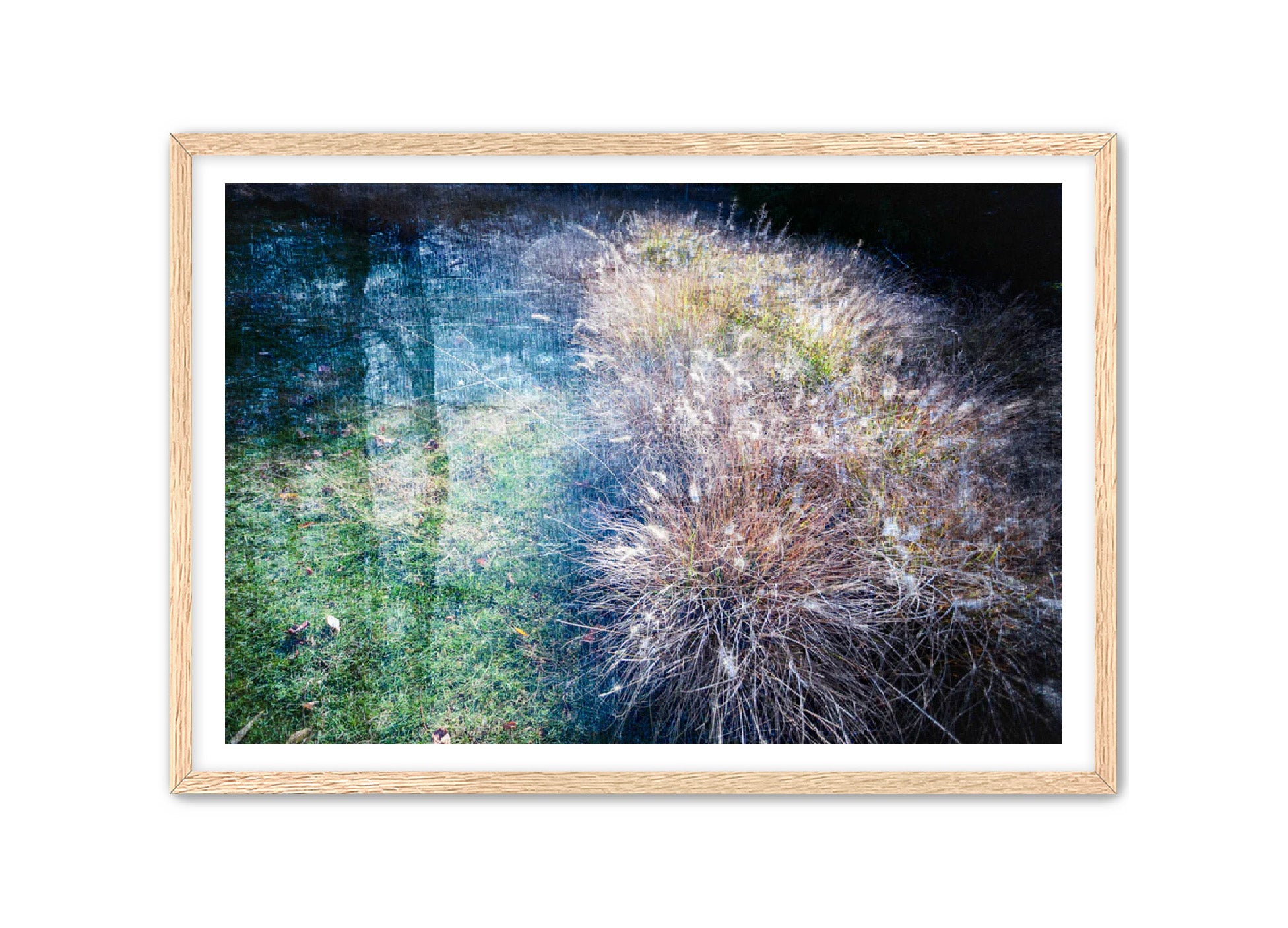 PhotoArt Prints 'GRASSES' Danielle Neumann Kelly