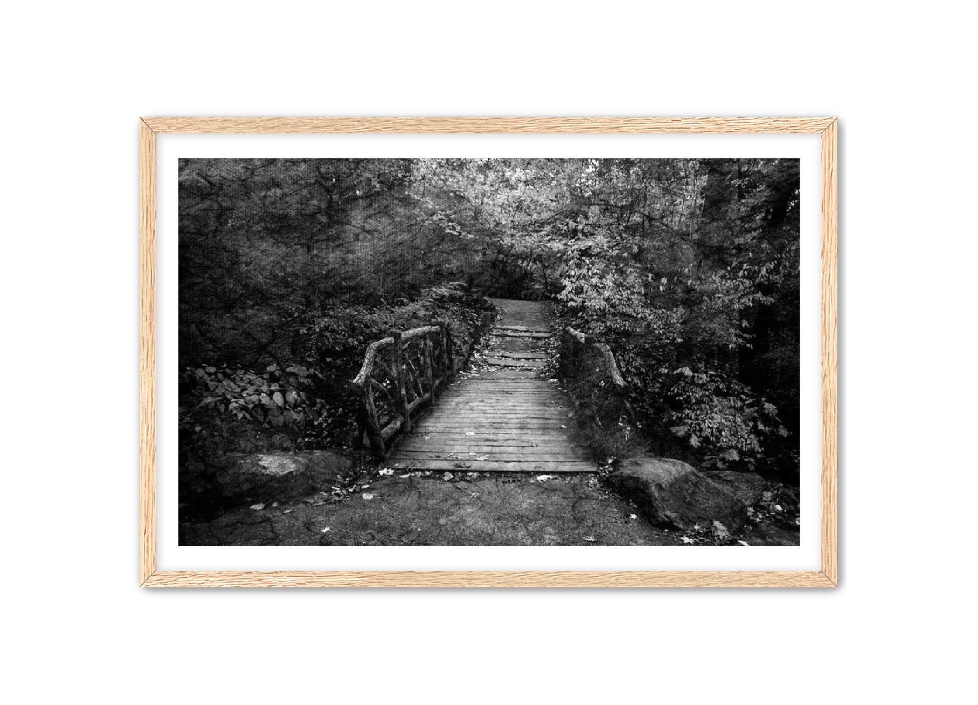 PhotoArt Prints 'PARK PATH' Danielle Neumann Kelly