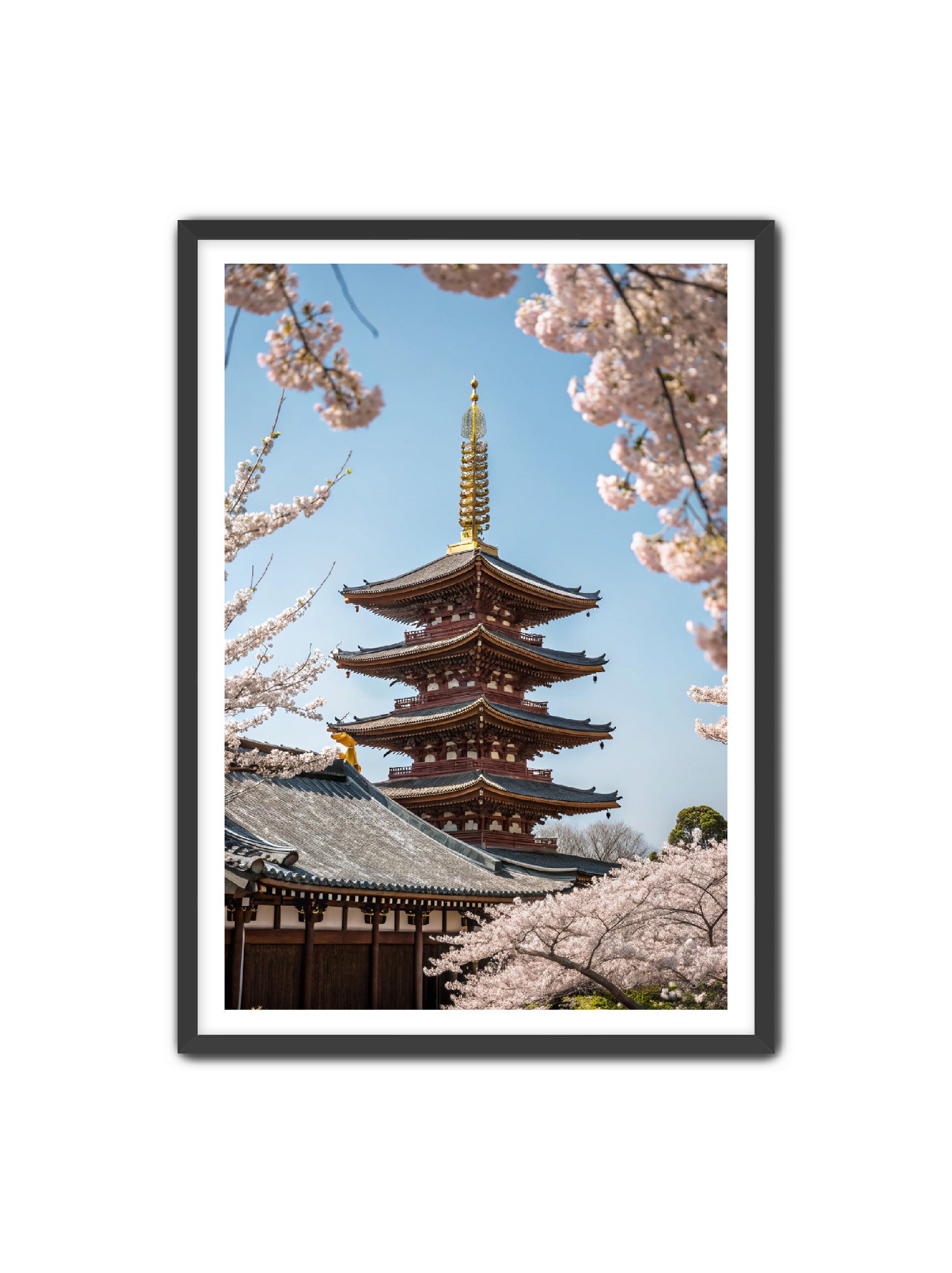 Apricus Prints 'Blossom Fortress' Apricus Art Collection