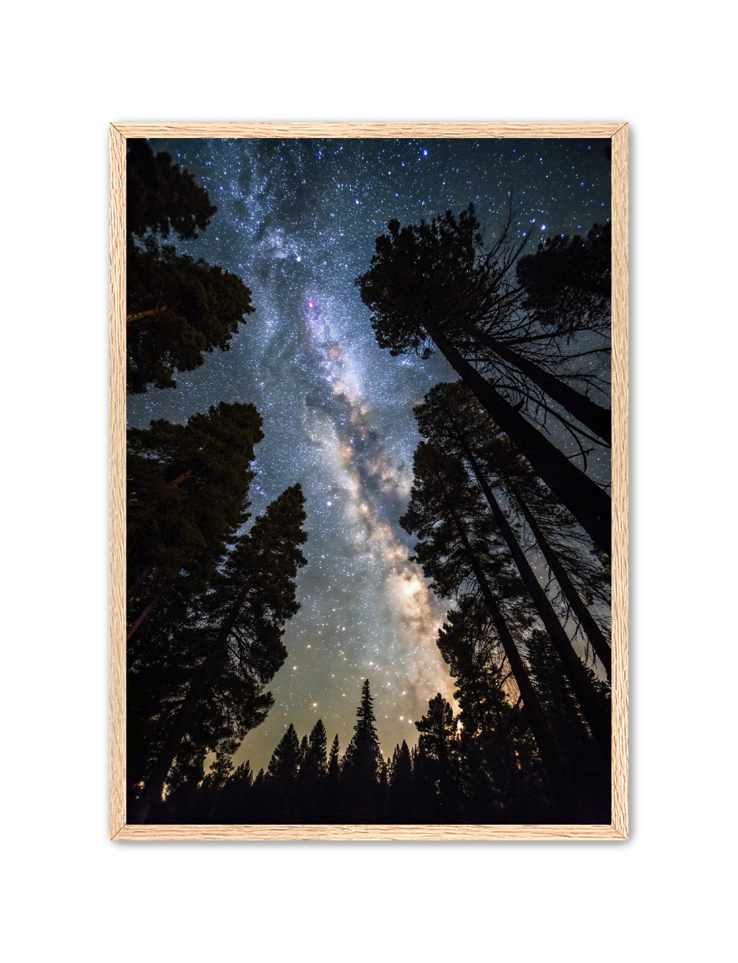 Apricus Prints 'Canopy of Eternity' Apricus Art Collection