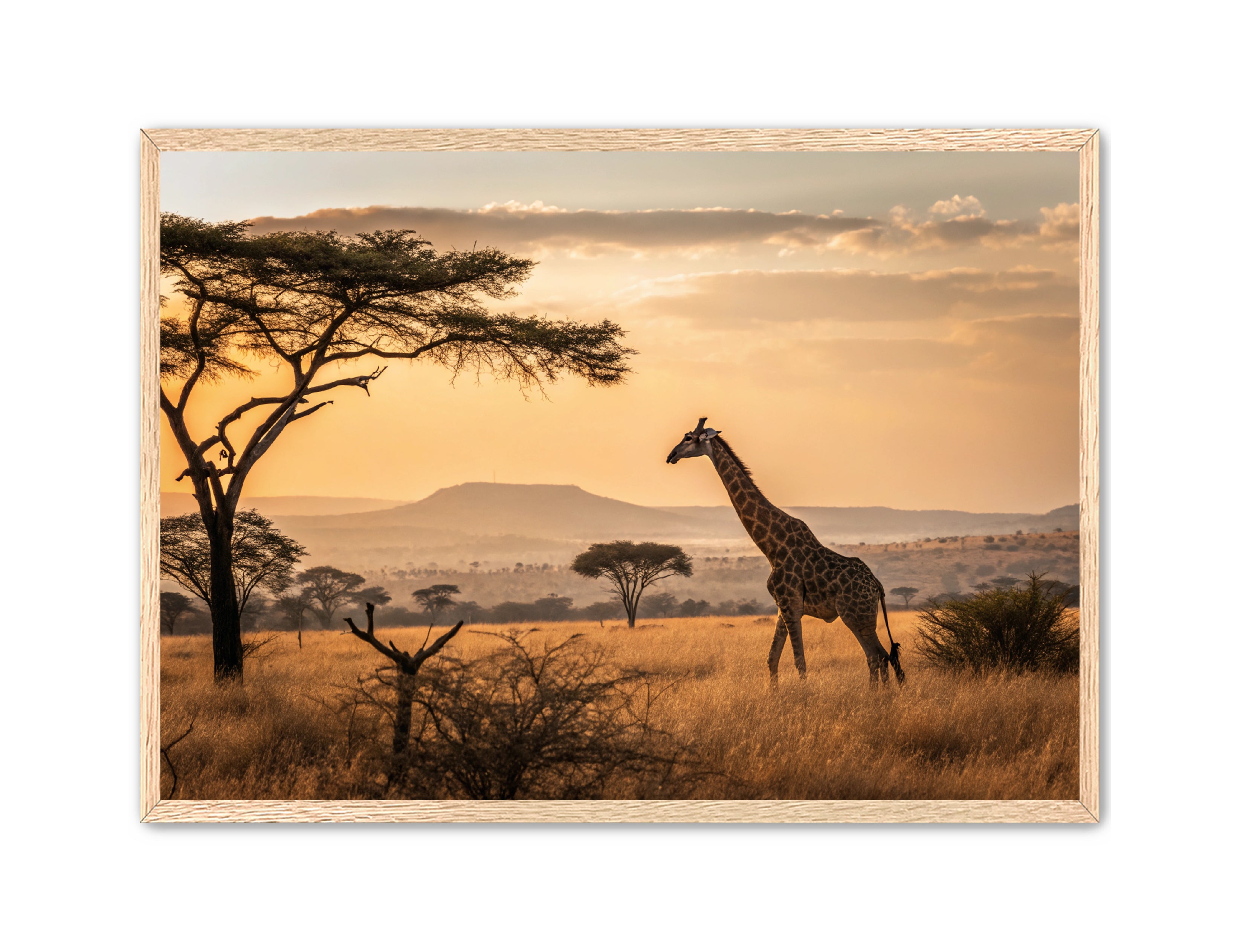 Apricus Prints 'Homeward Bound' Apricus Art Collection