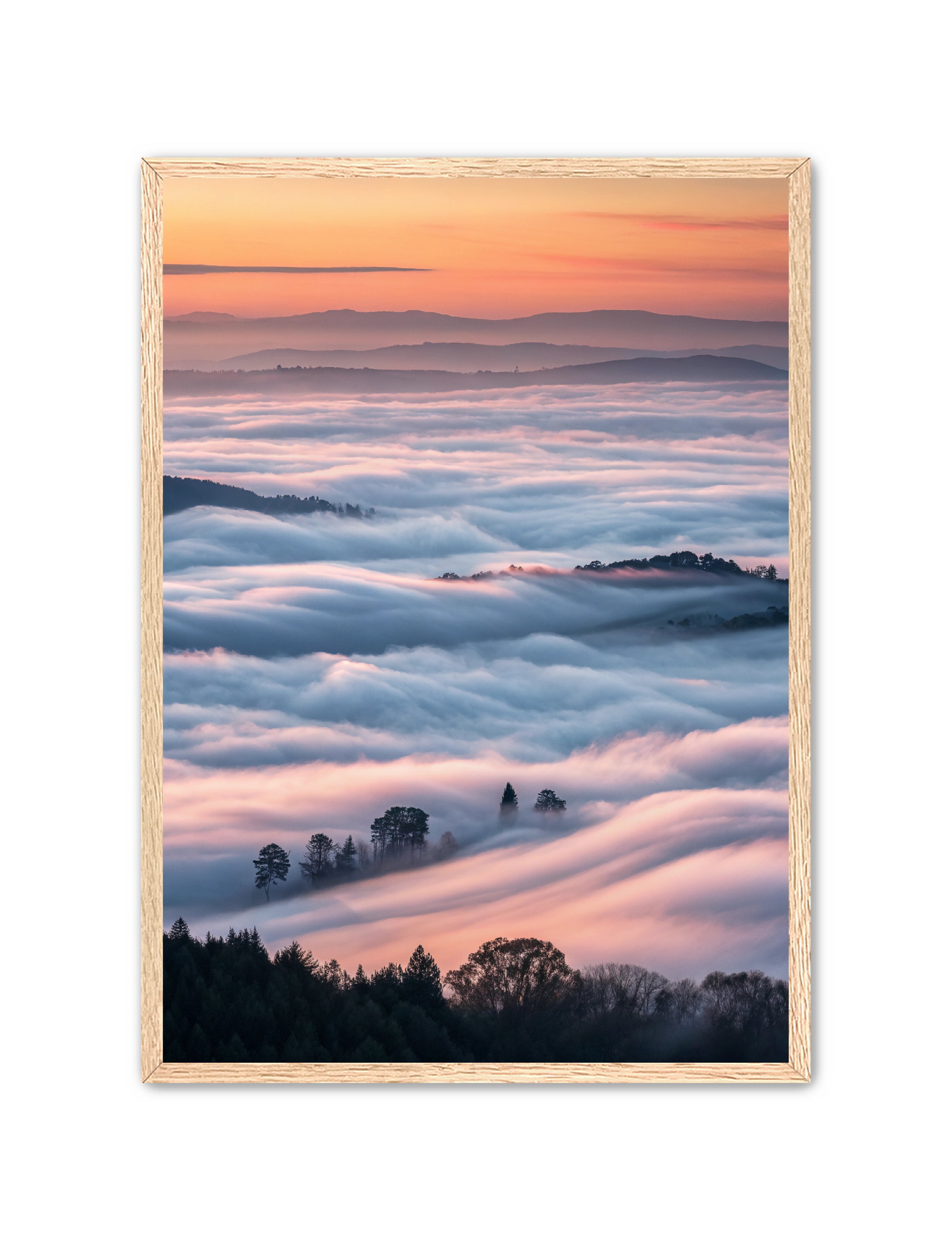 Apricus Prints 'Clouded Canopy' Apricus Art Collection