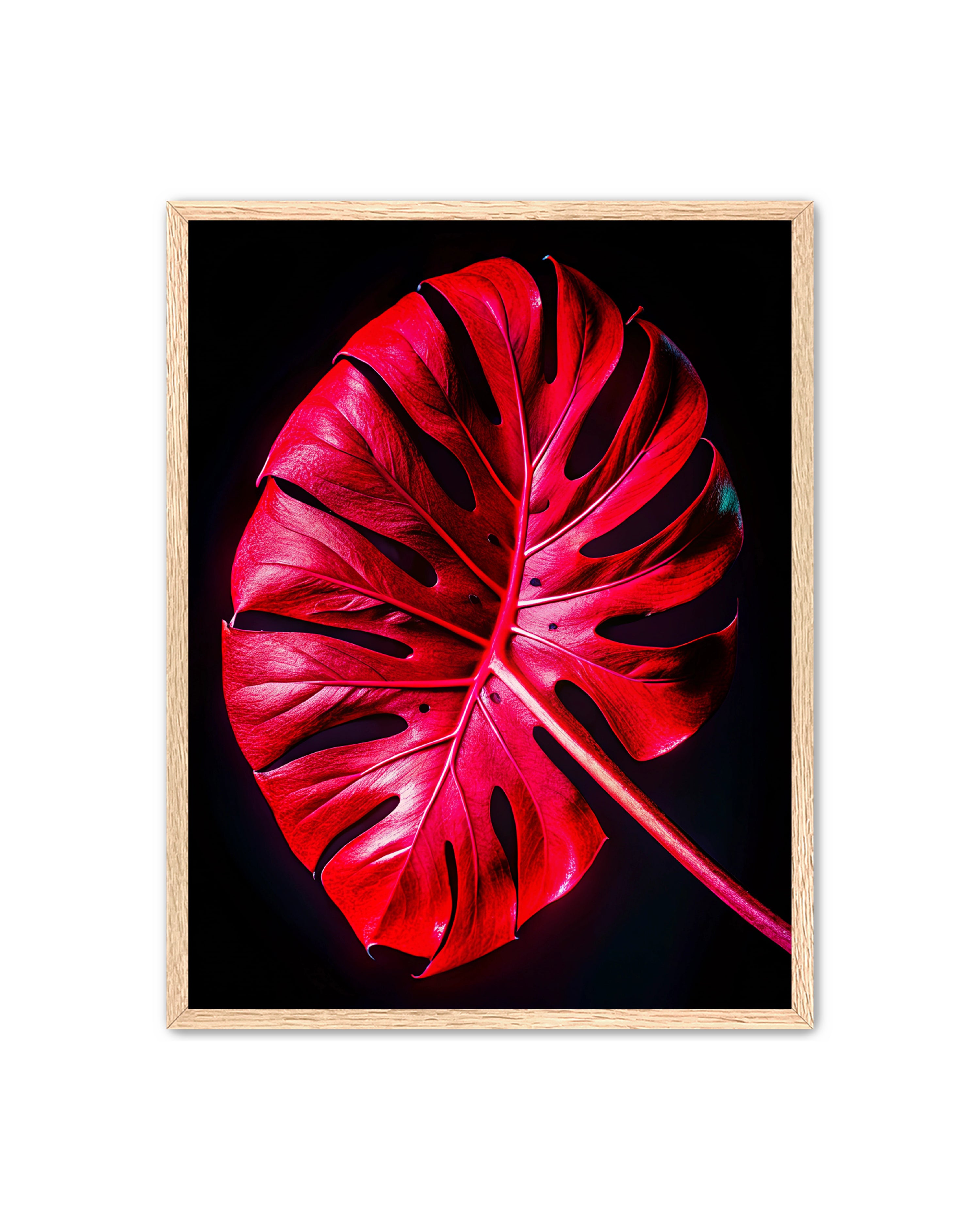 Abstract Prints 'Kinetic Plant' Apricus Art Collection