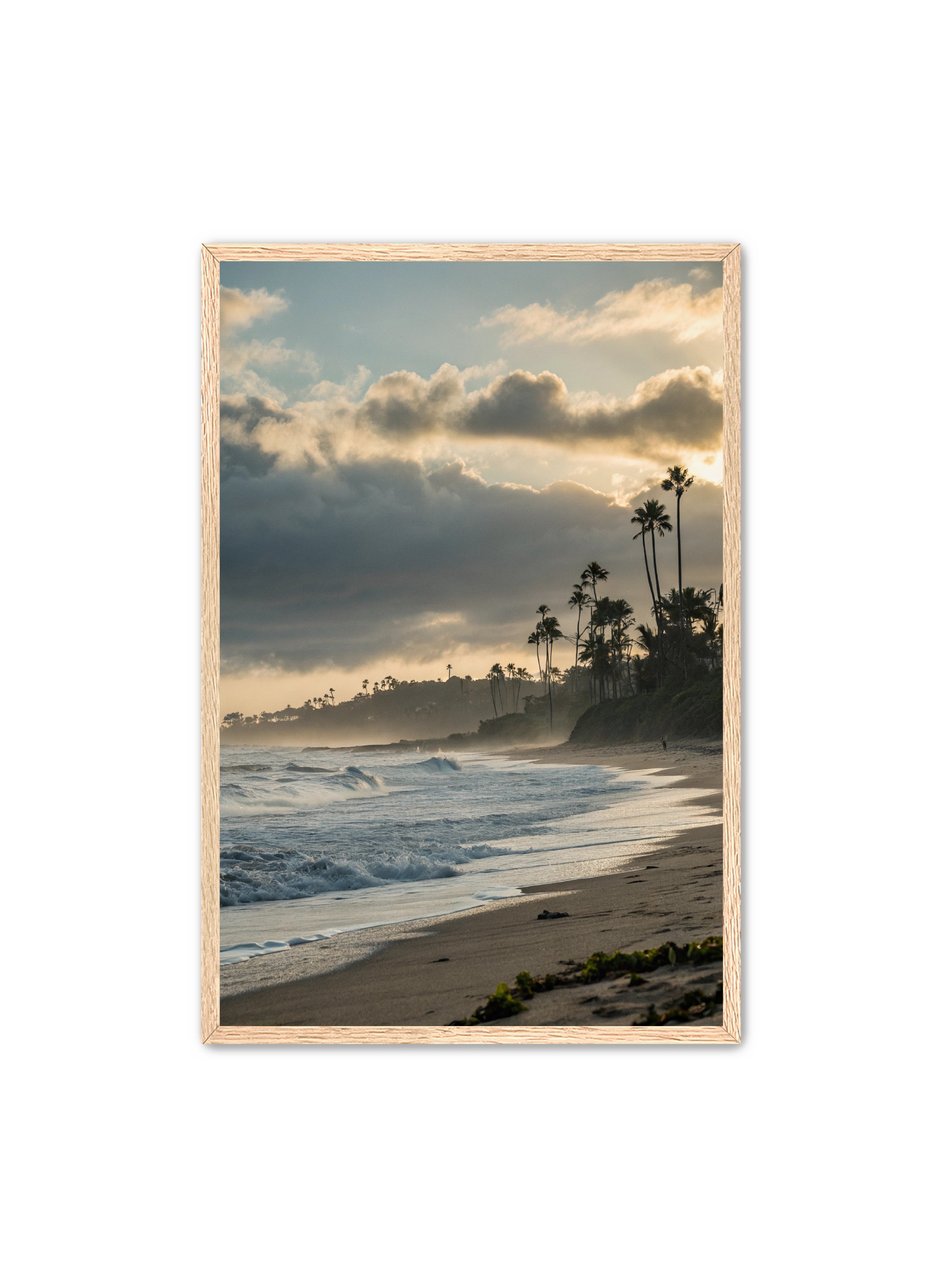 Apricus Prints Beaches 'Coastal Echoes' Apricus Art Collection