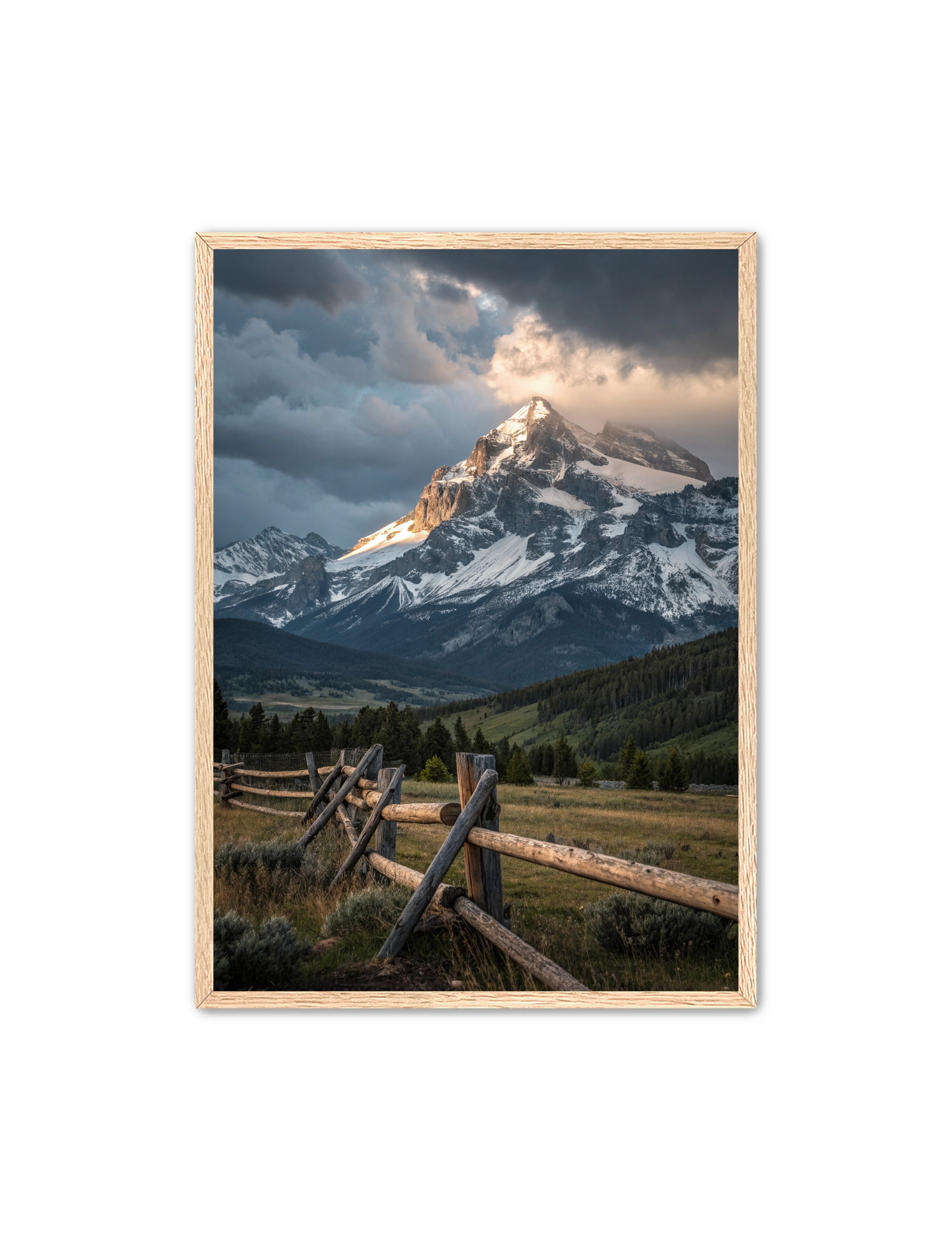 Apricus Prints Vaquero 'Fenced-in' Apricus Art Collection